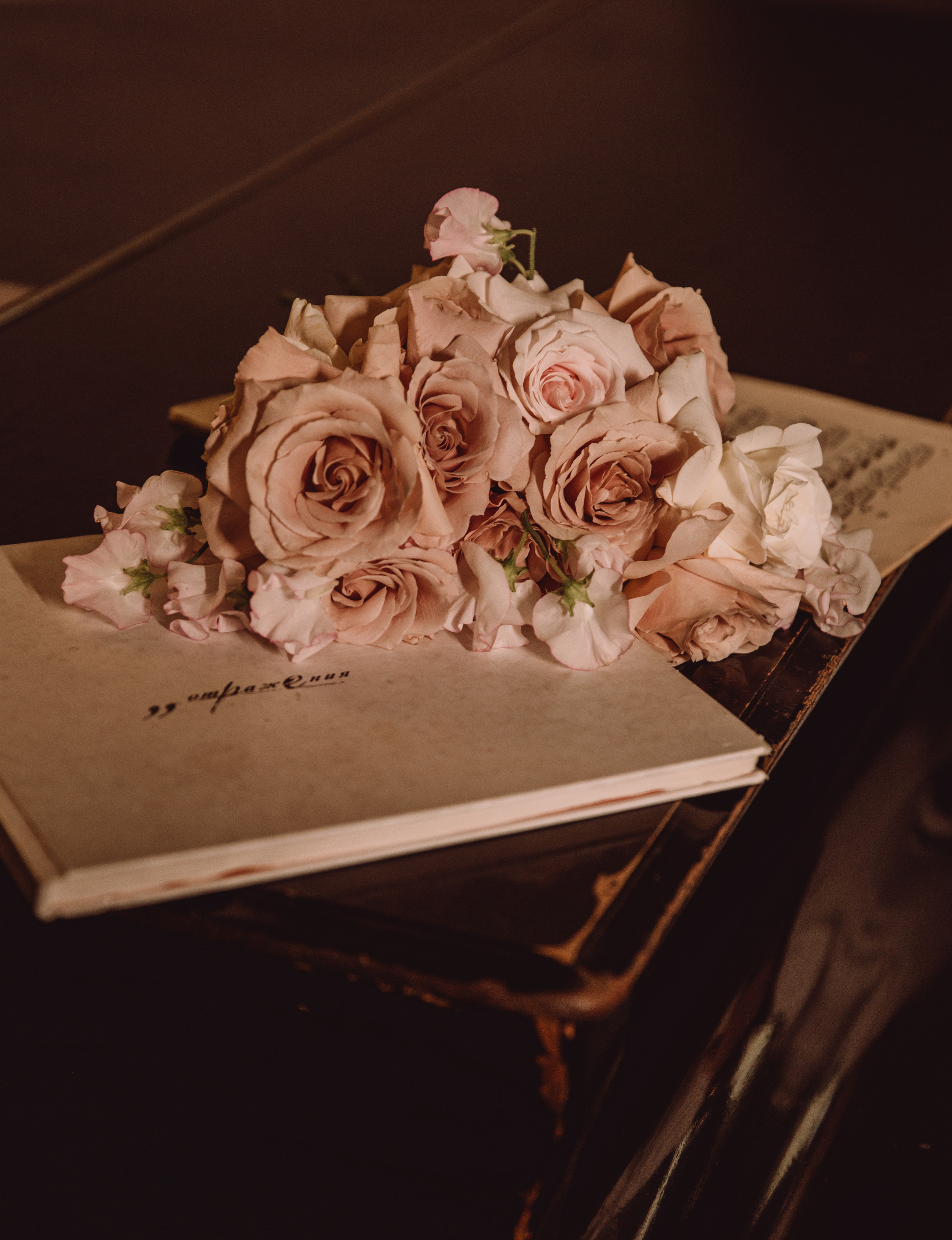 Алевссия & Евгений. Фотограф в Краснодаре и Краснодарском крае