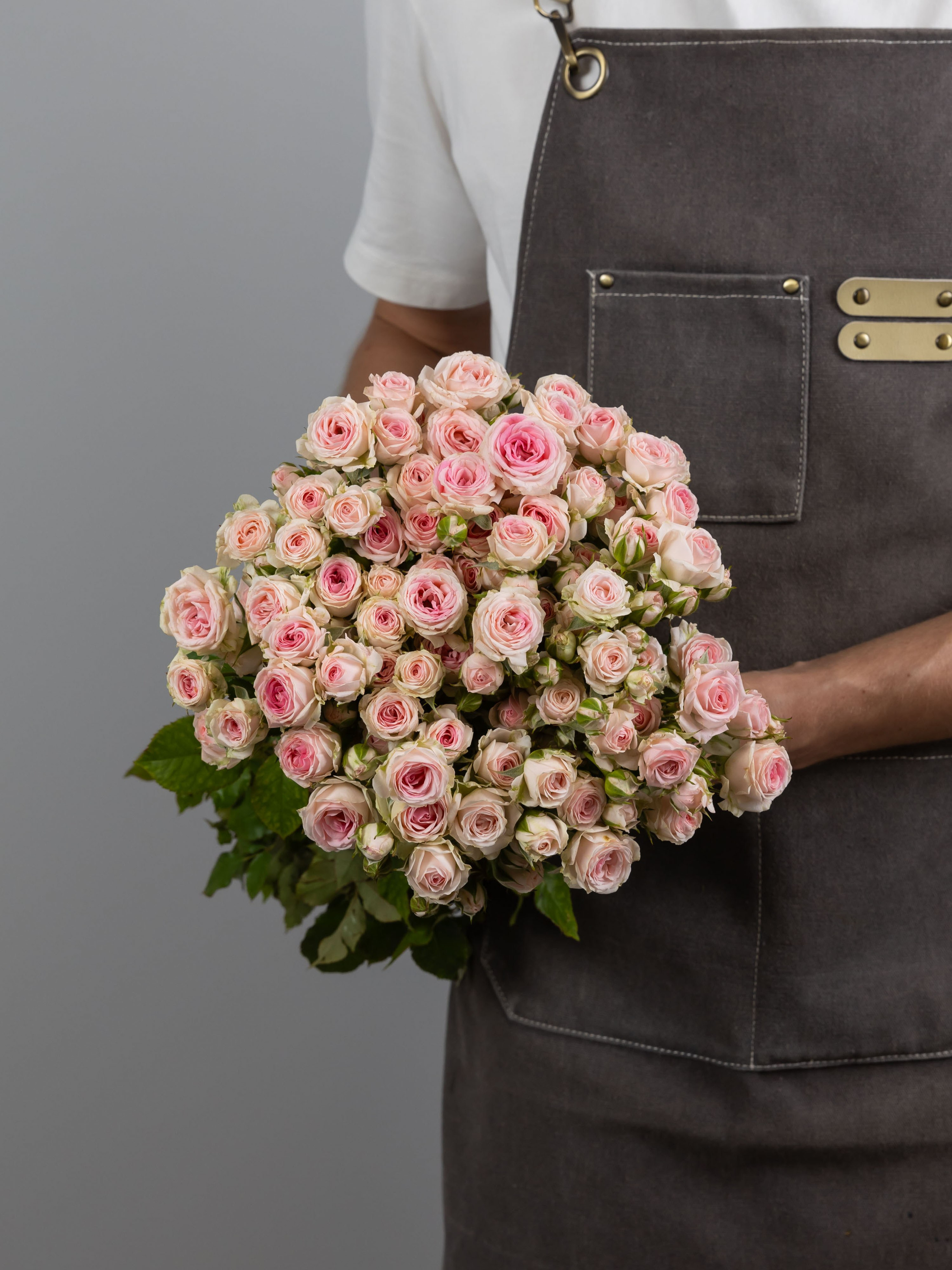 04.08.2025 Фотосессия сортов Цветополис. ФОТОГРАФ ВИНОГРАДОВА ДАРЬЯ