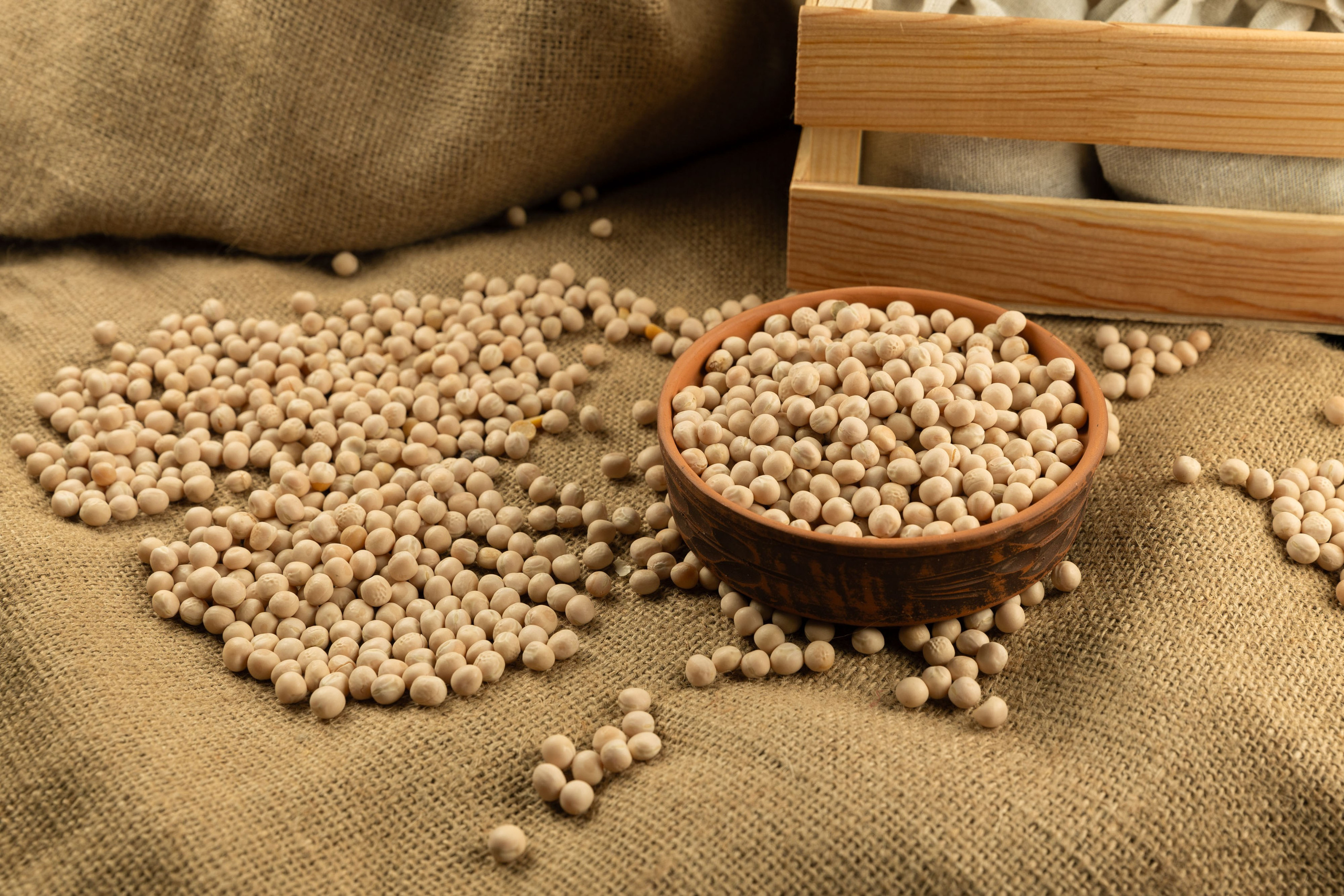 ПРЕДМЕТКА. ФОТОГРАФ ВИНОГРАДОВА ДАРЬЯ