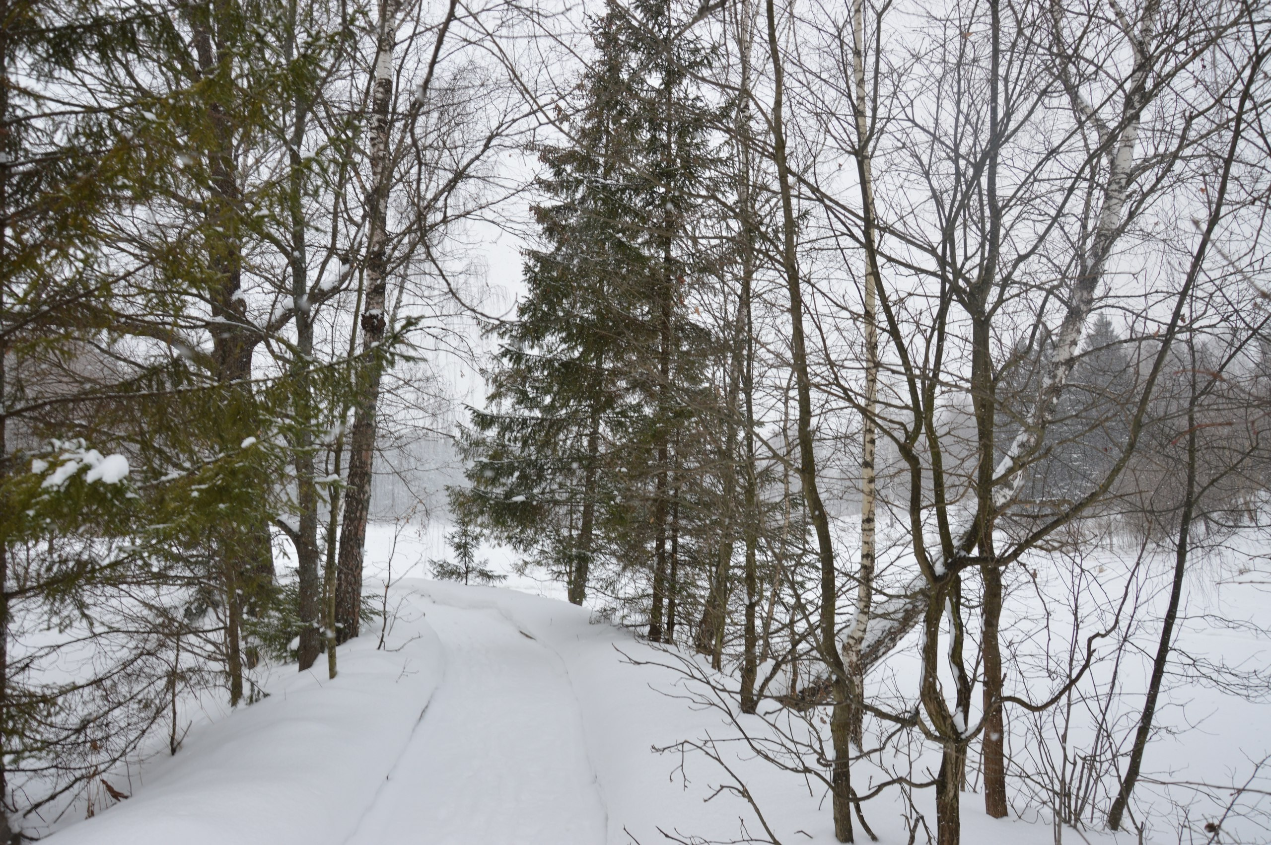 Сергиев Посад | 11.12.2016. Галерея Фантим