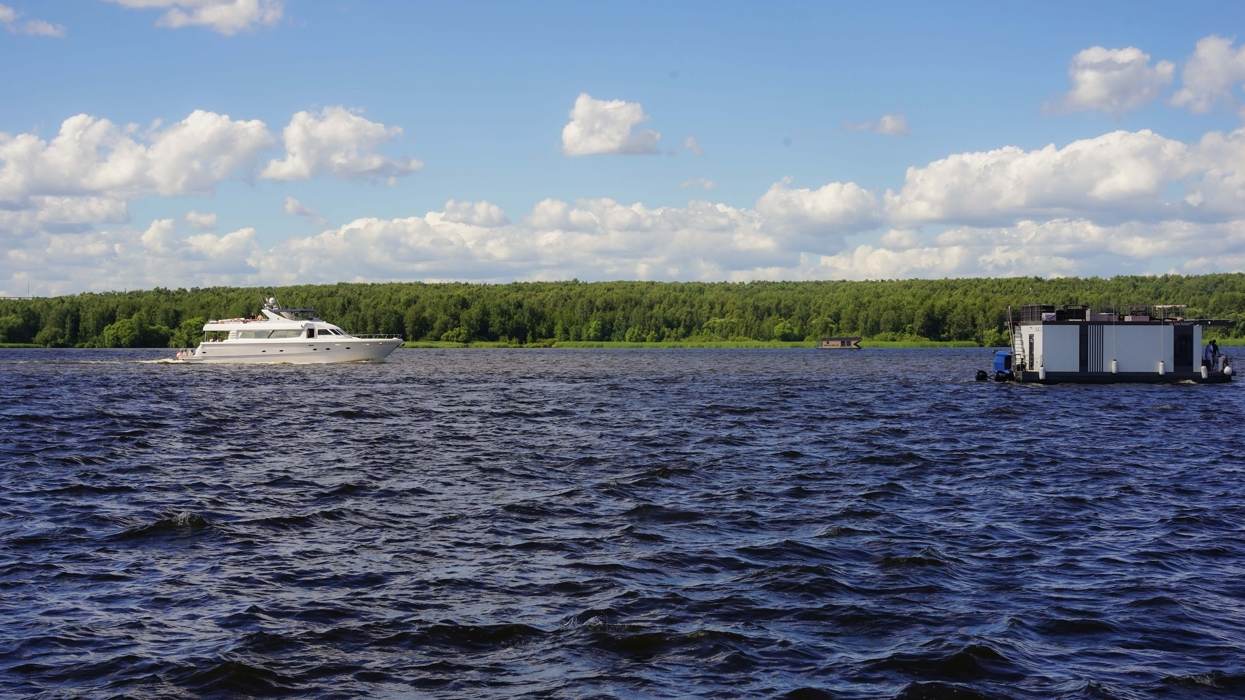 Шашлыки | 06.07.2024. Галерея Фантим