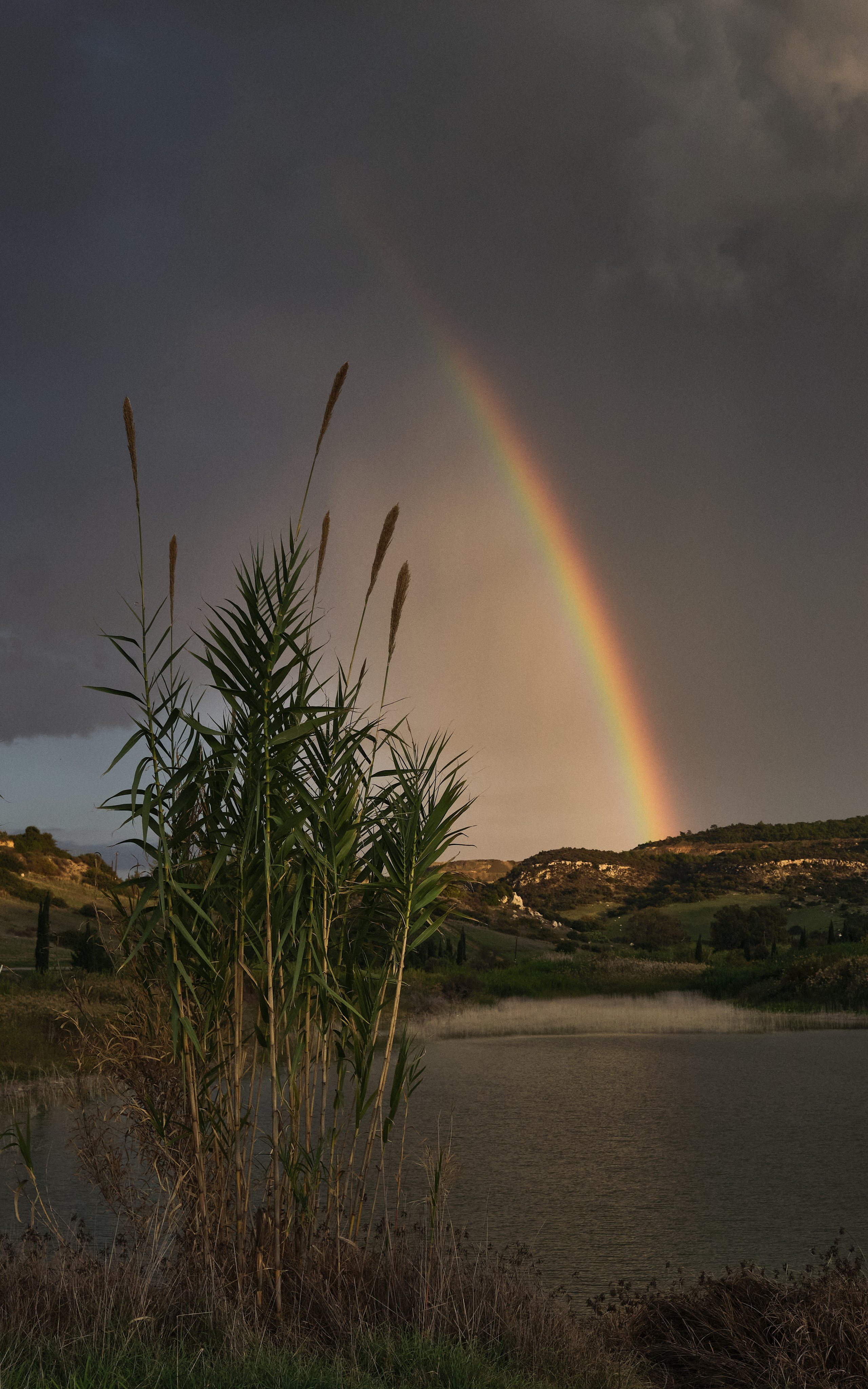 Cyprus / 2023. Aleksandr Kobtsev