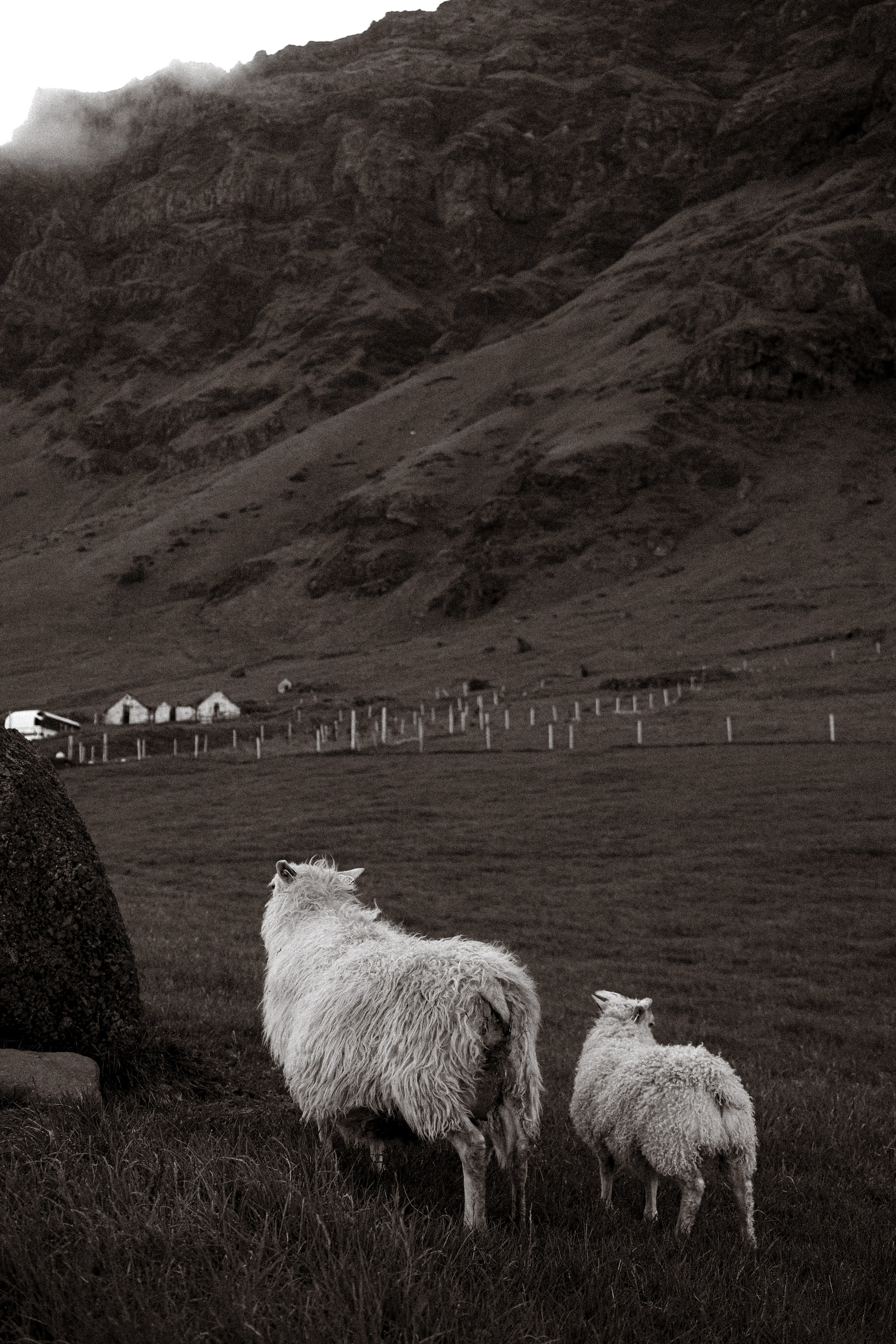 Iceland. Photographer