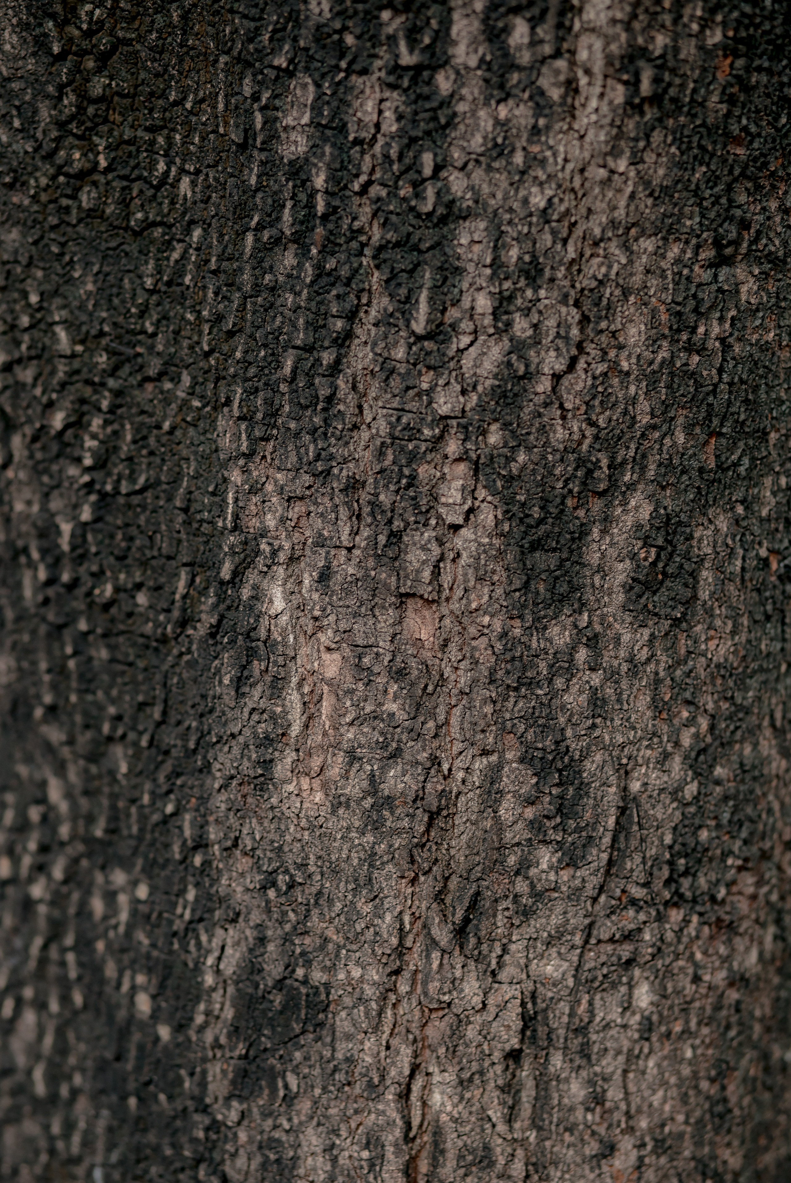 Ho Chi Minh, Vietnam | Part 1| 2025. Art Photographer