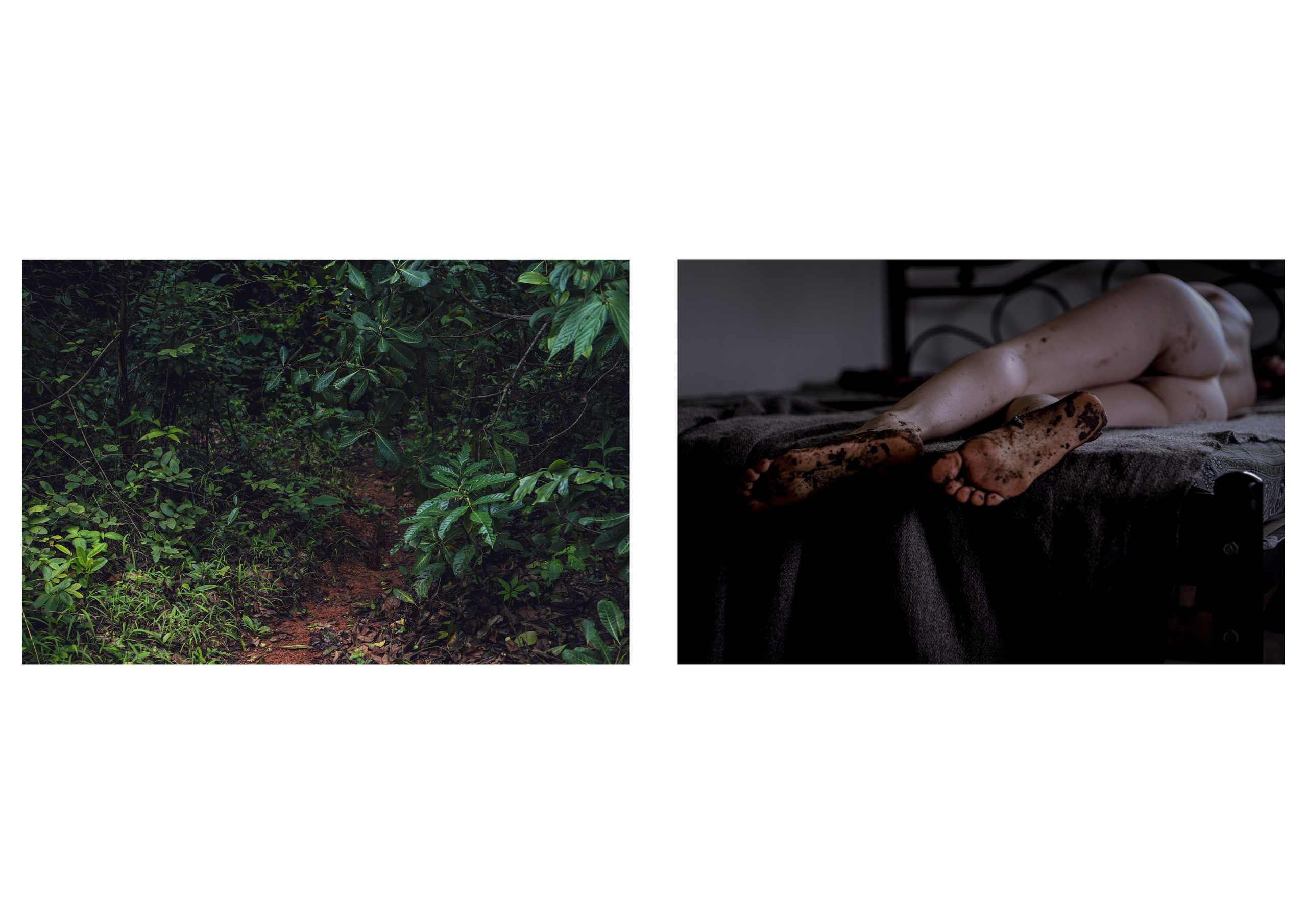 Nature me. Сайт Фотографа MASHASOLAR