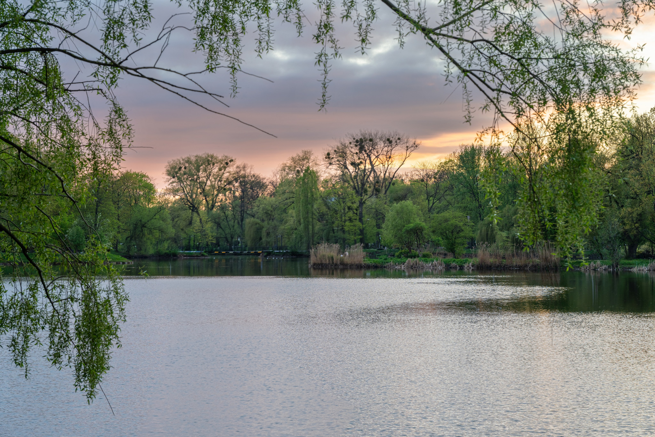 Калининград