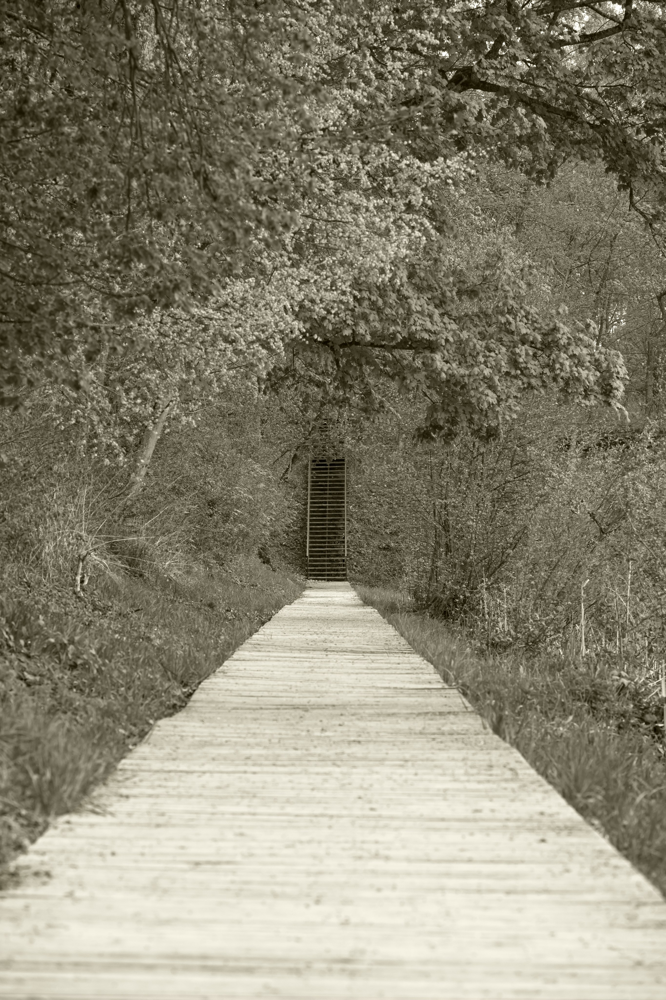 Калининград