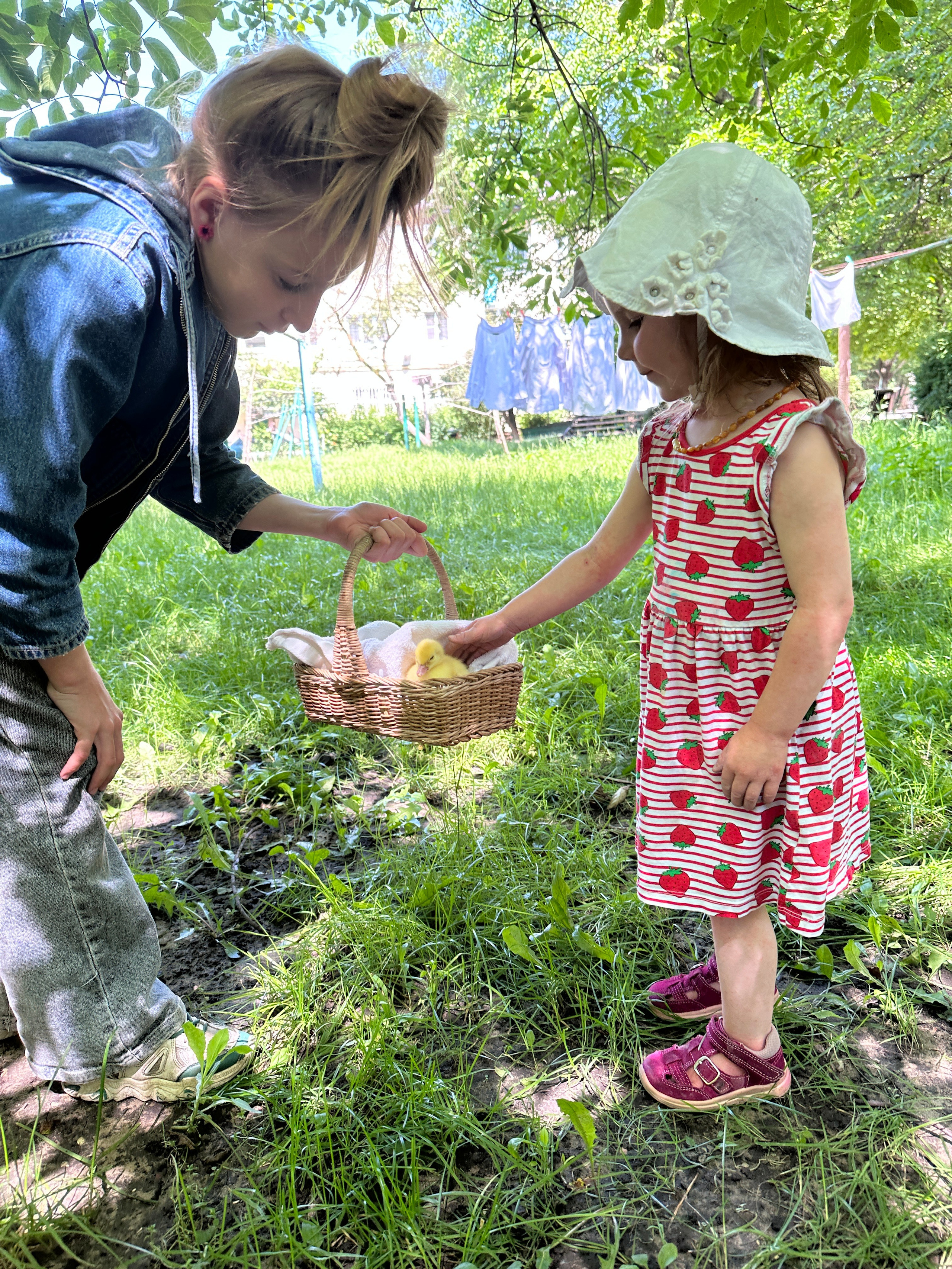 Дети. Смотри, красота!