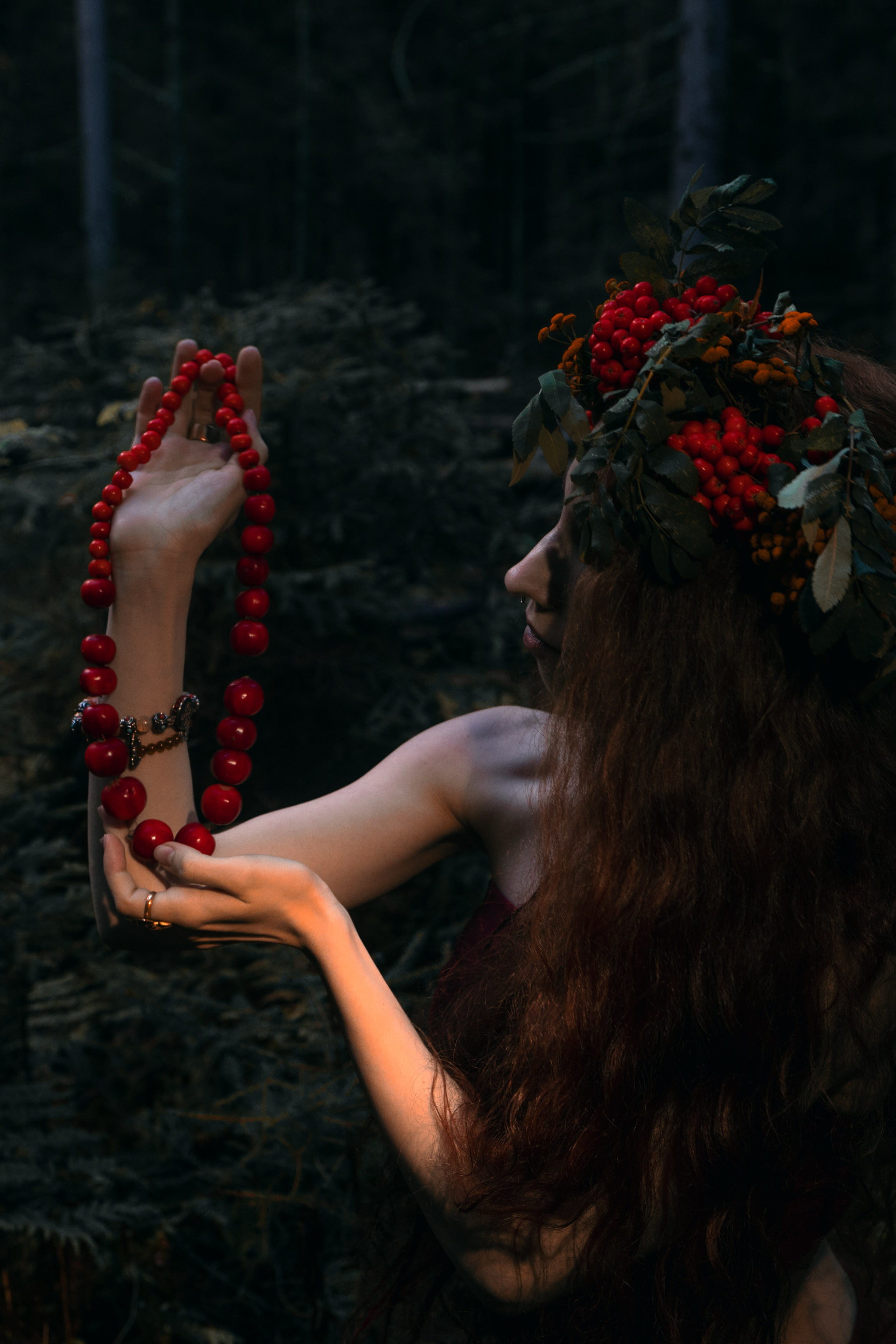 Огненная Лисица