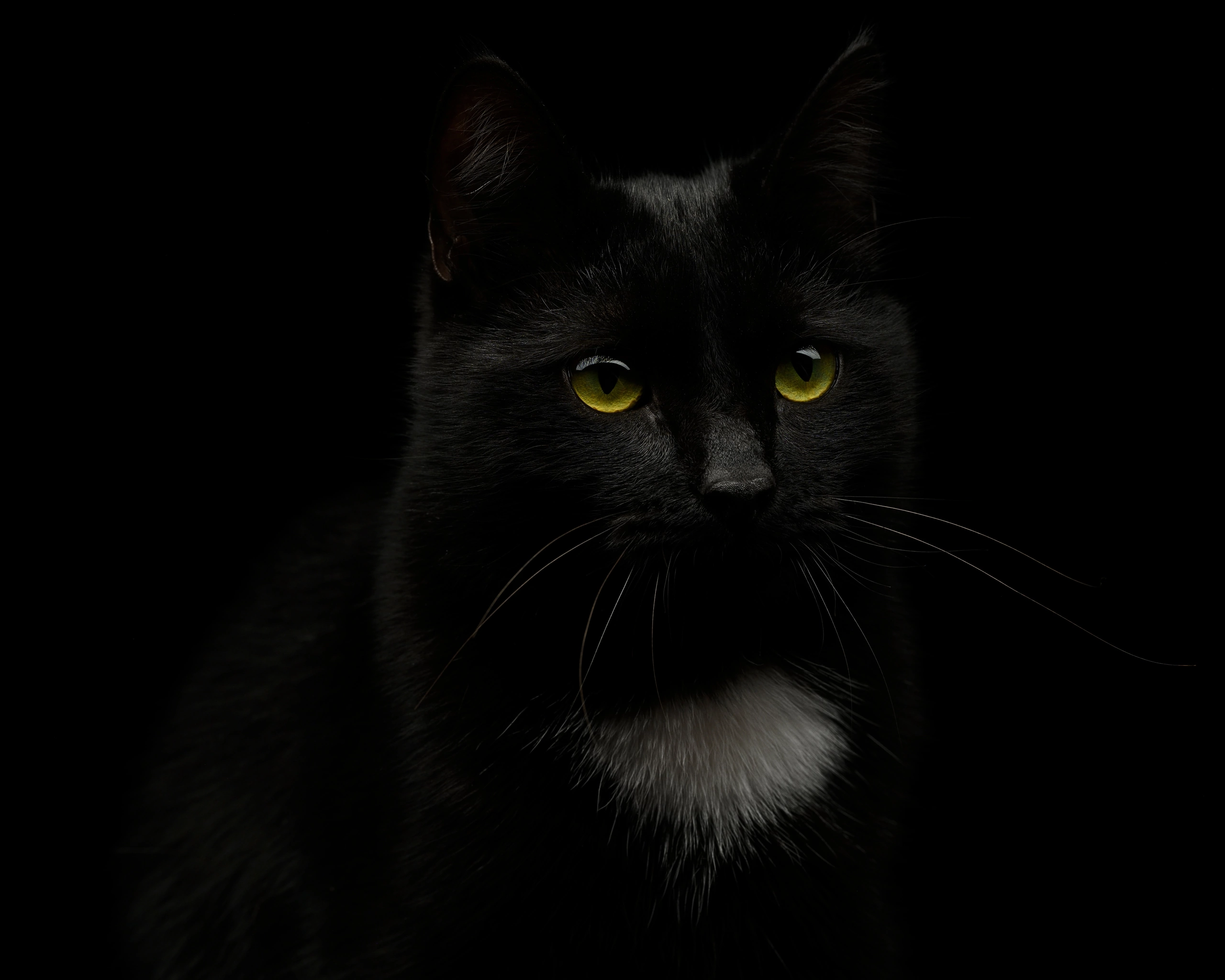 Студийные съемки. Портретный фотограф в Челябинске Катерина Руди