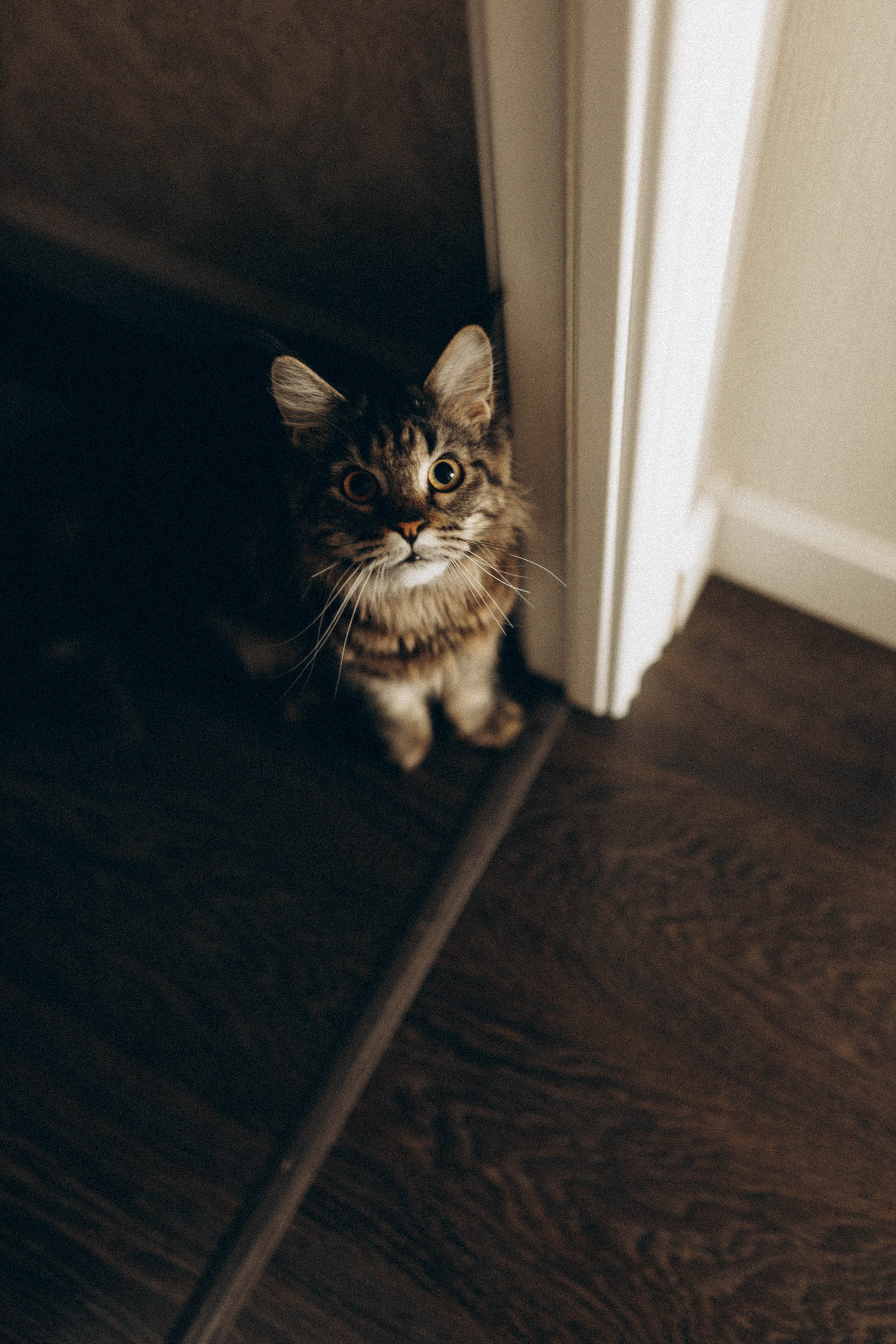 Преподаватель музыки