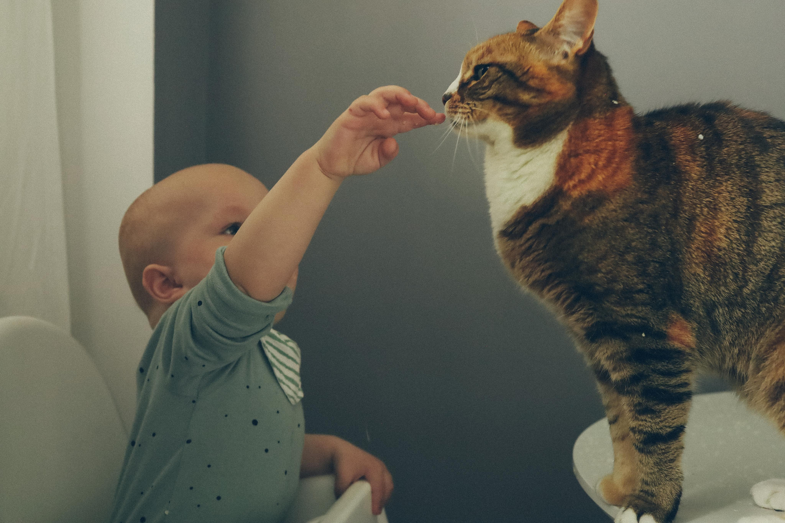 Тройняшки. Детский семейный фотограф в Москве Светлана Микадзе