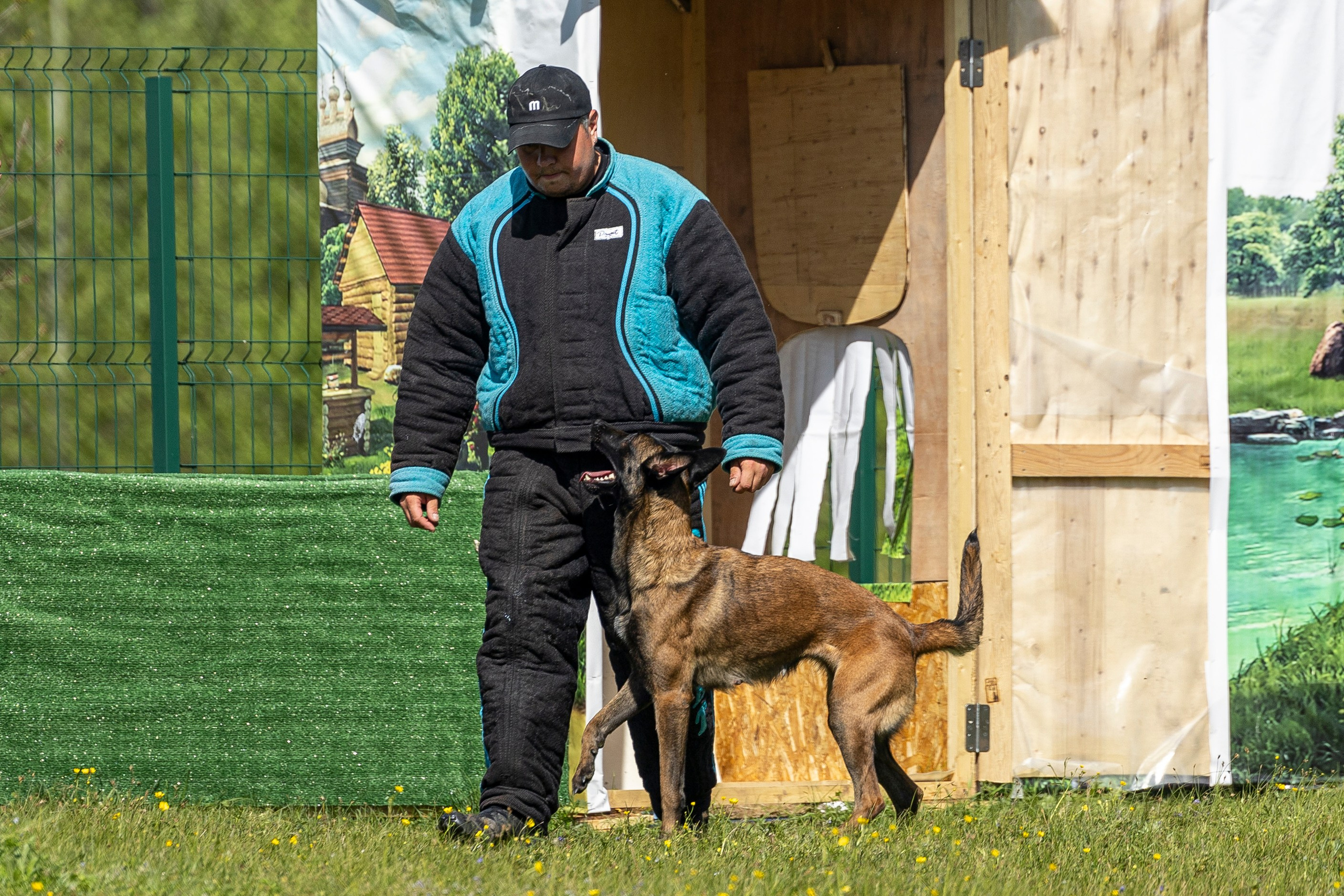 Испытания по мондьорингу в Нижнем Новгороде. Фотограф-анималист Анна Маринич