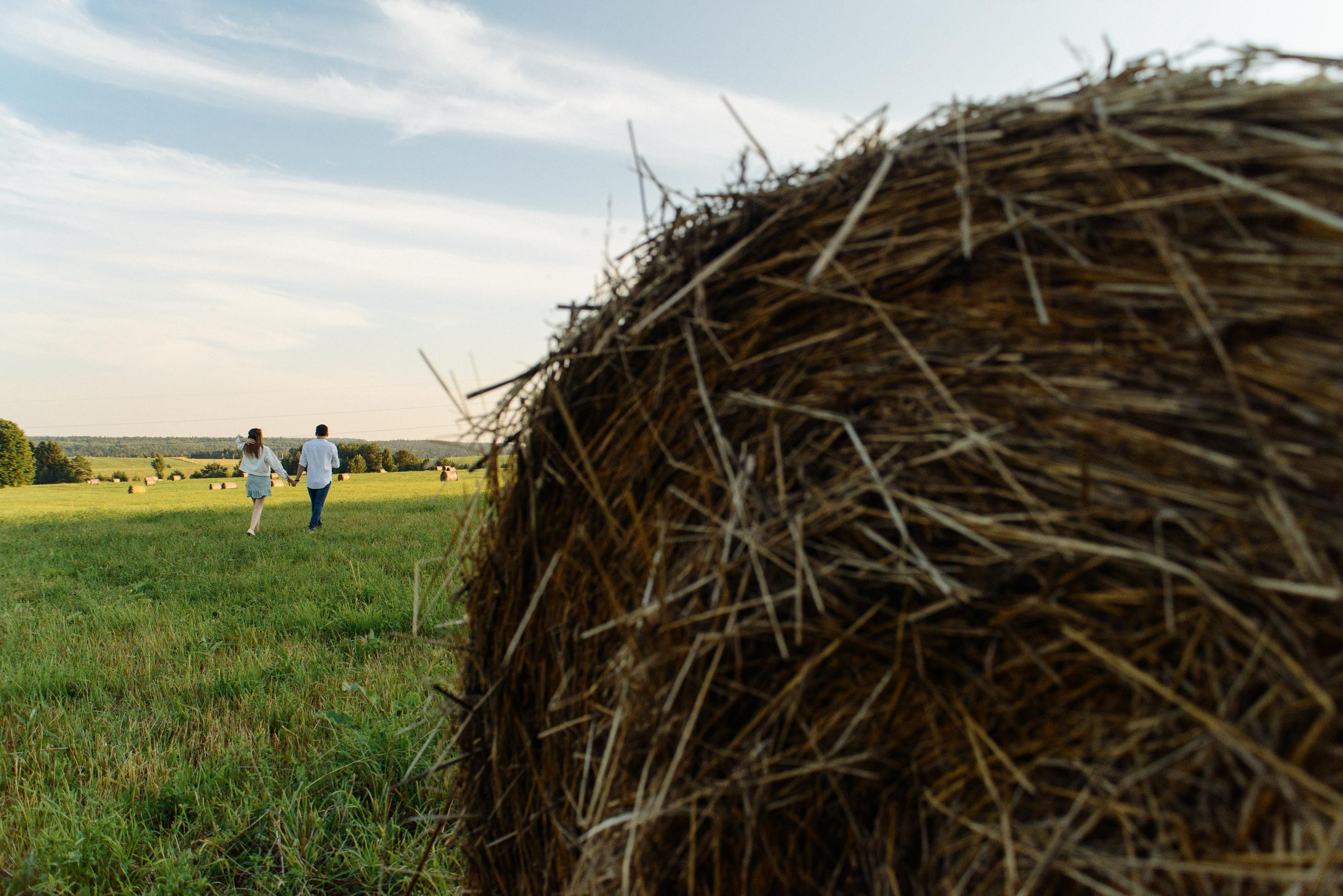 На Оленьей ферме. Свадебный фотограф Ижевск Петр Шишков