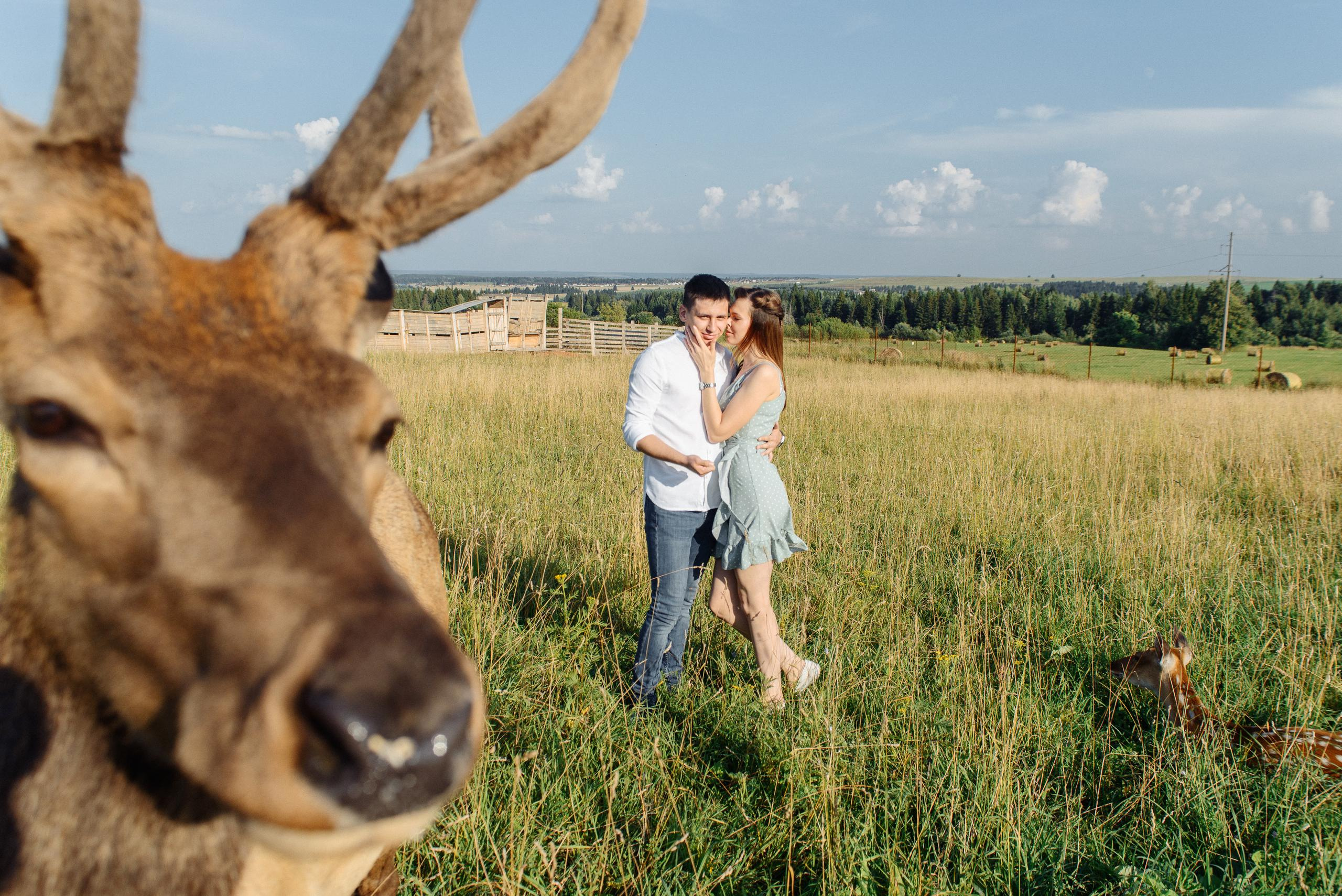 На Оленьей ферме. Свадебный фотограф Ижевск Петр Шишков
