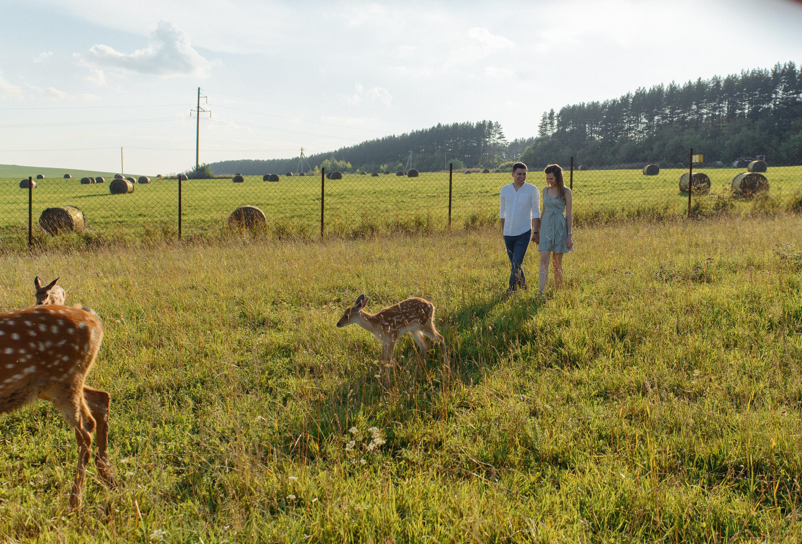 На Оленьей ферме. Свадебный фотограф Ижевск Петр Шишков