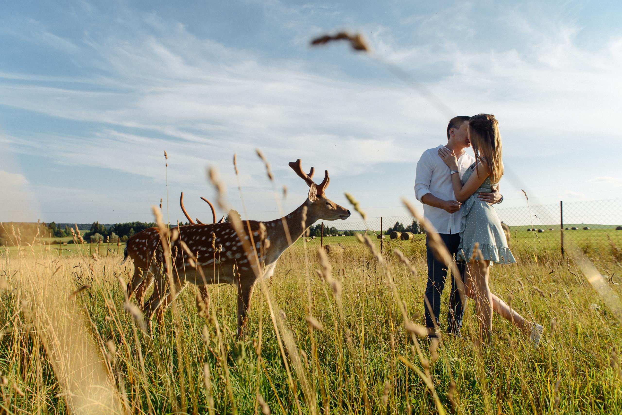 На Оленьей ферме. Свадебный фотограф Ижевск Петр Шишков