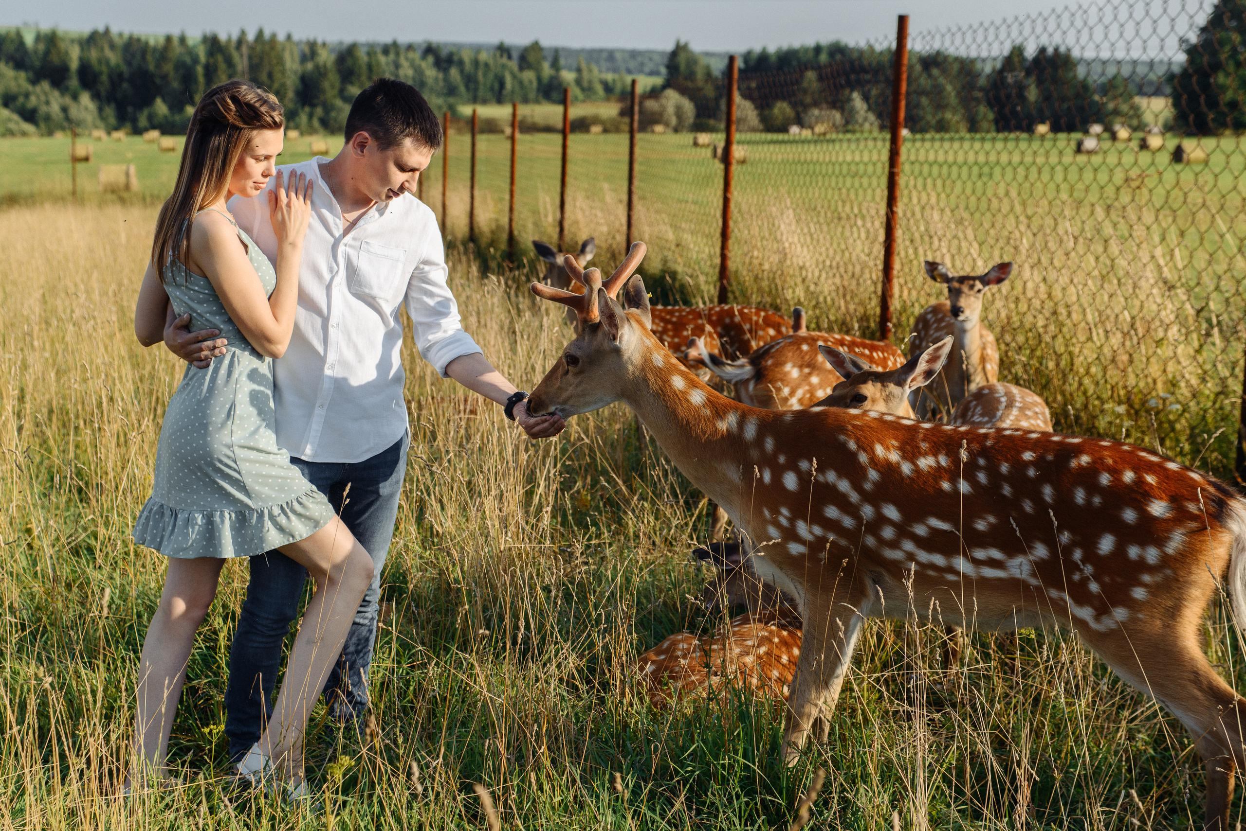 На Оленьей ферме. Свадебный фотограф Ижевск Петр Шишков