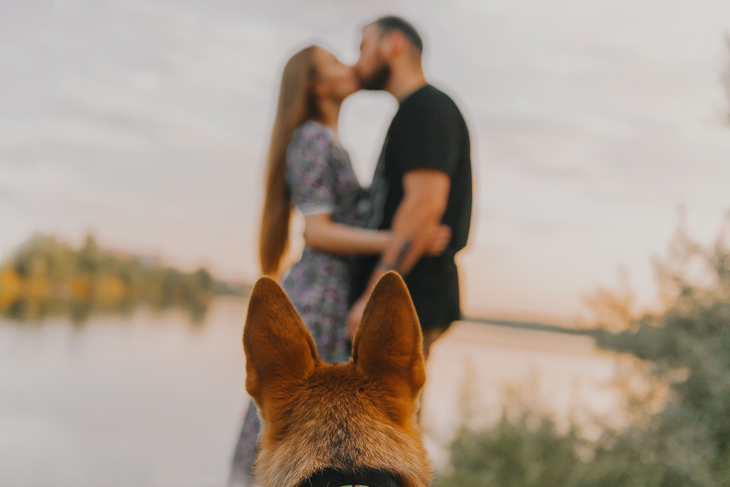 Эмир, Алсу и немецкая овчарка Рэй (Щелково, 2023). Анна Пушина, фотограф, Москва, Королев, Пушкино