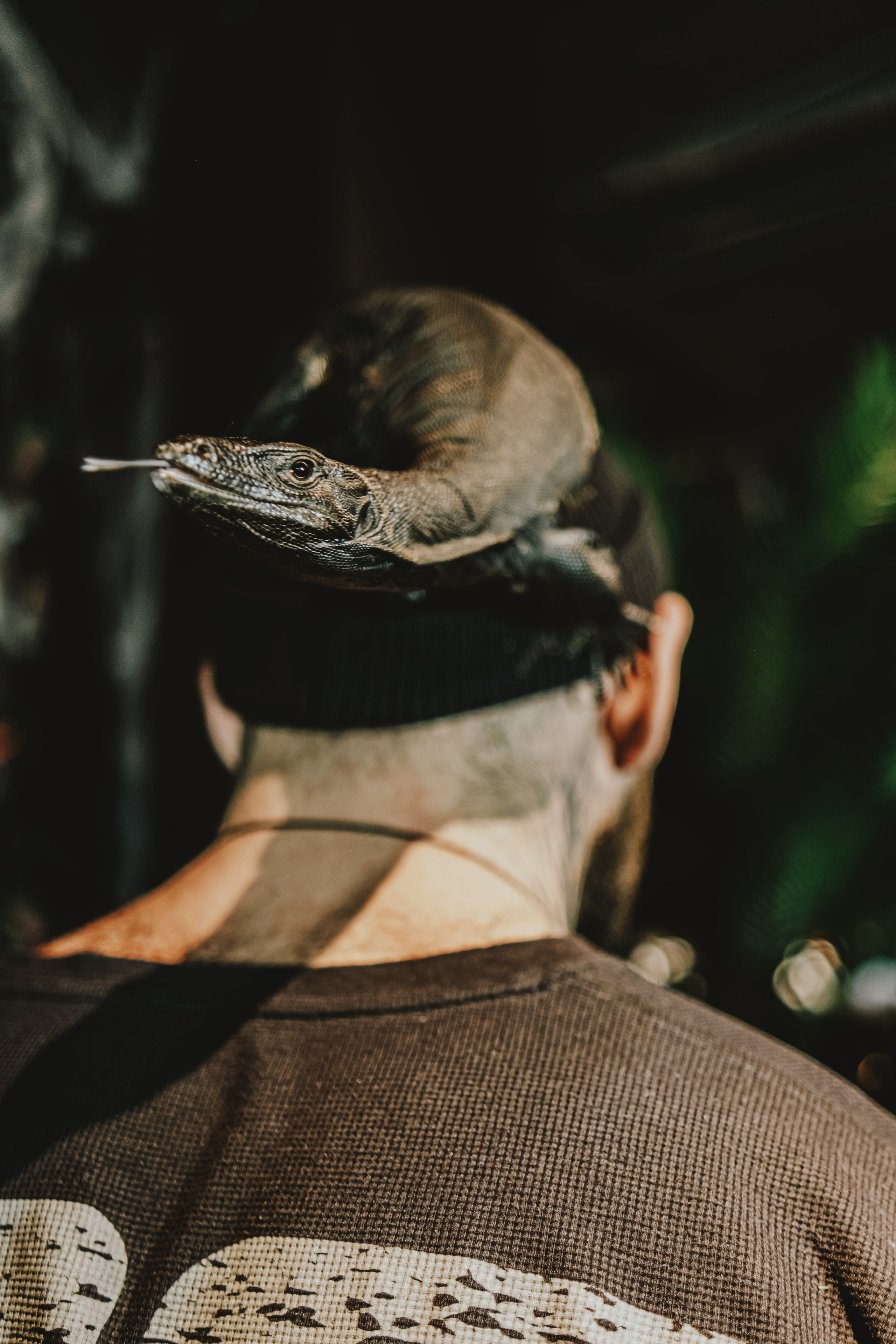 Дом Драконов. Nattie.ph