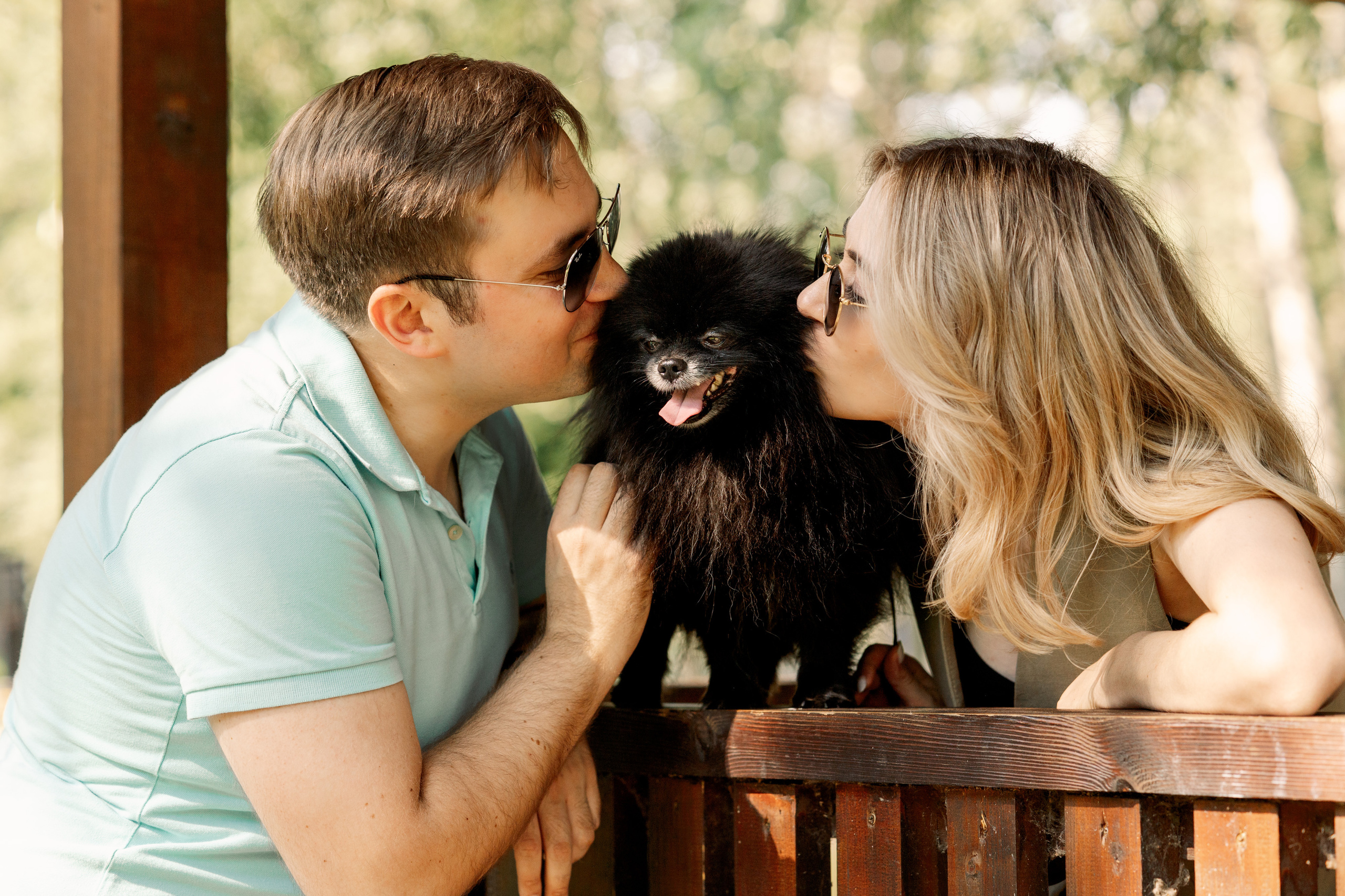 Любимый питомец