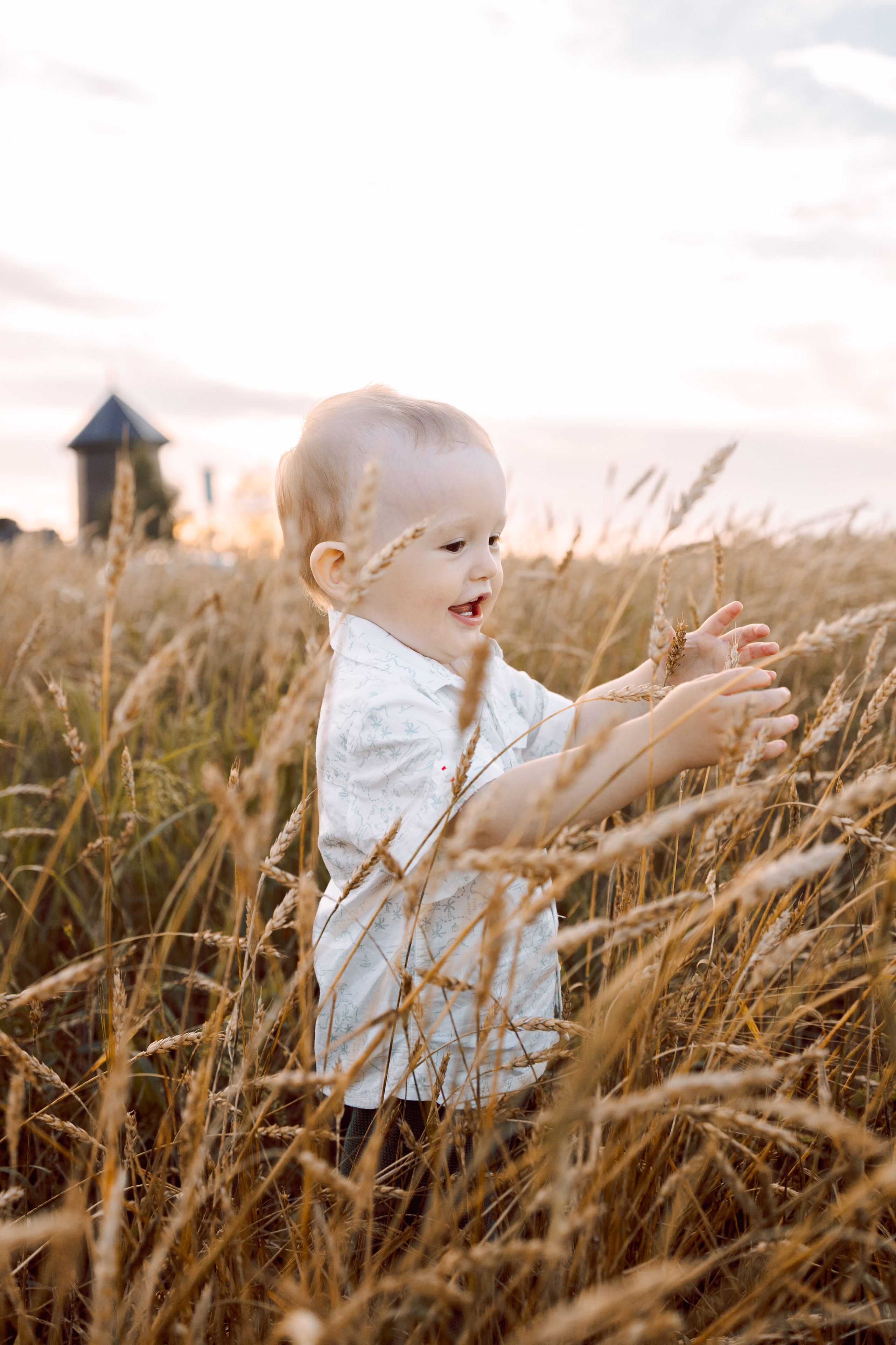 малыш в колосьях