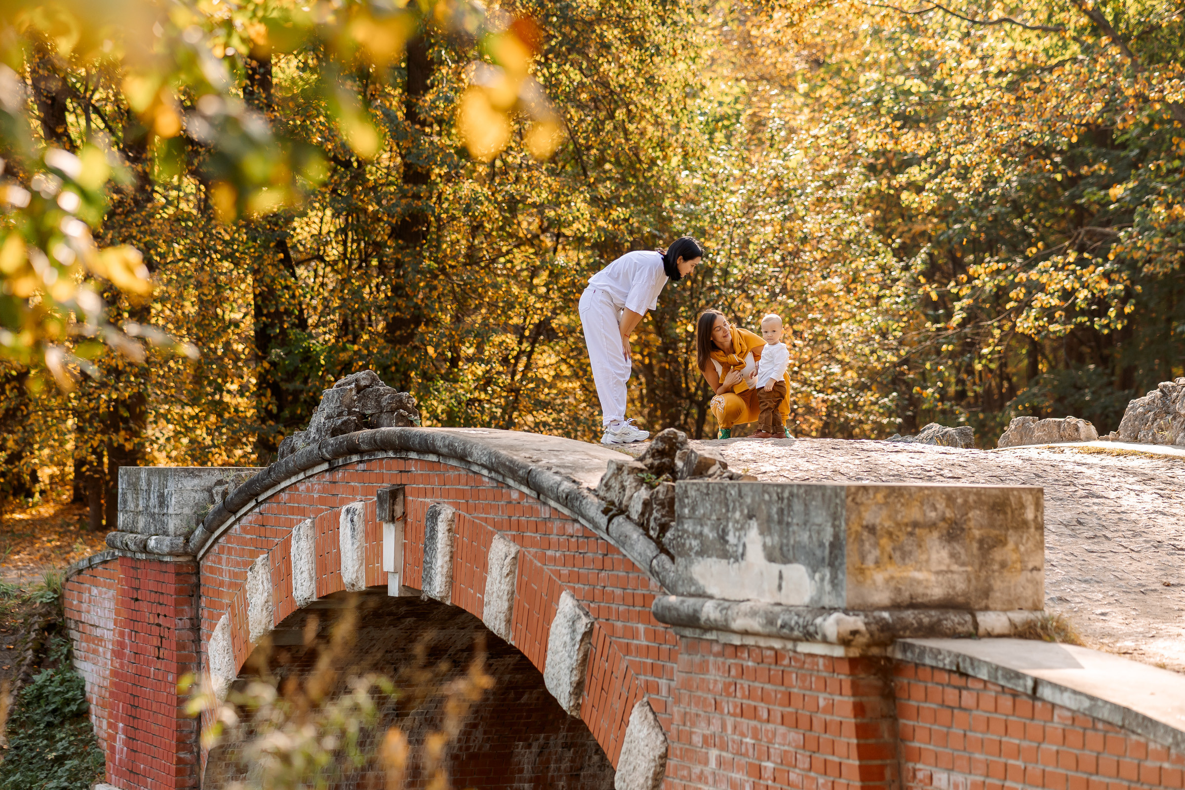 красивая осень