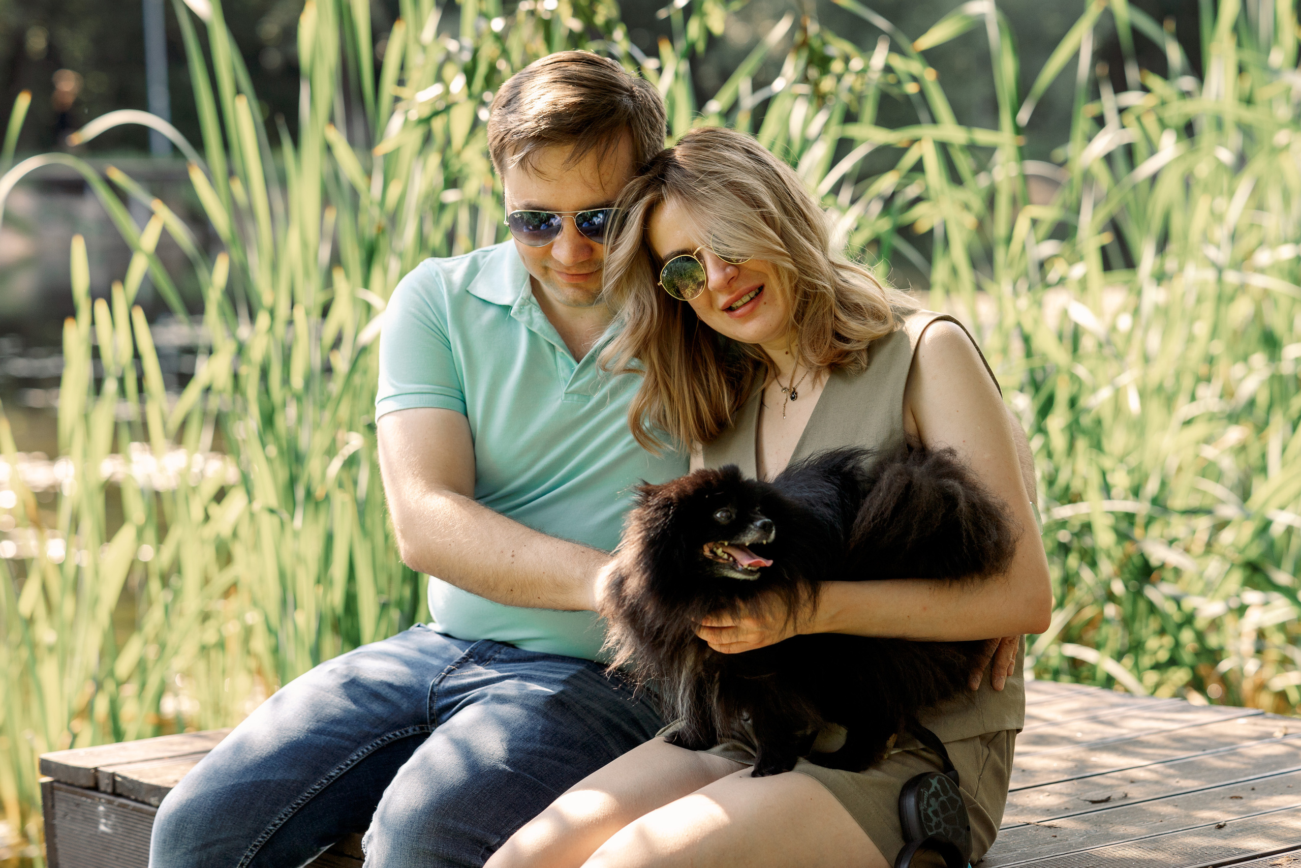 Любимый шпиц