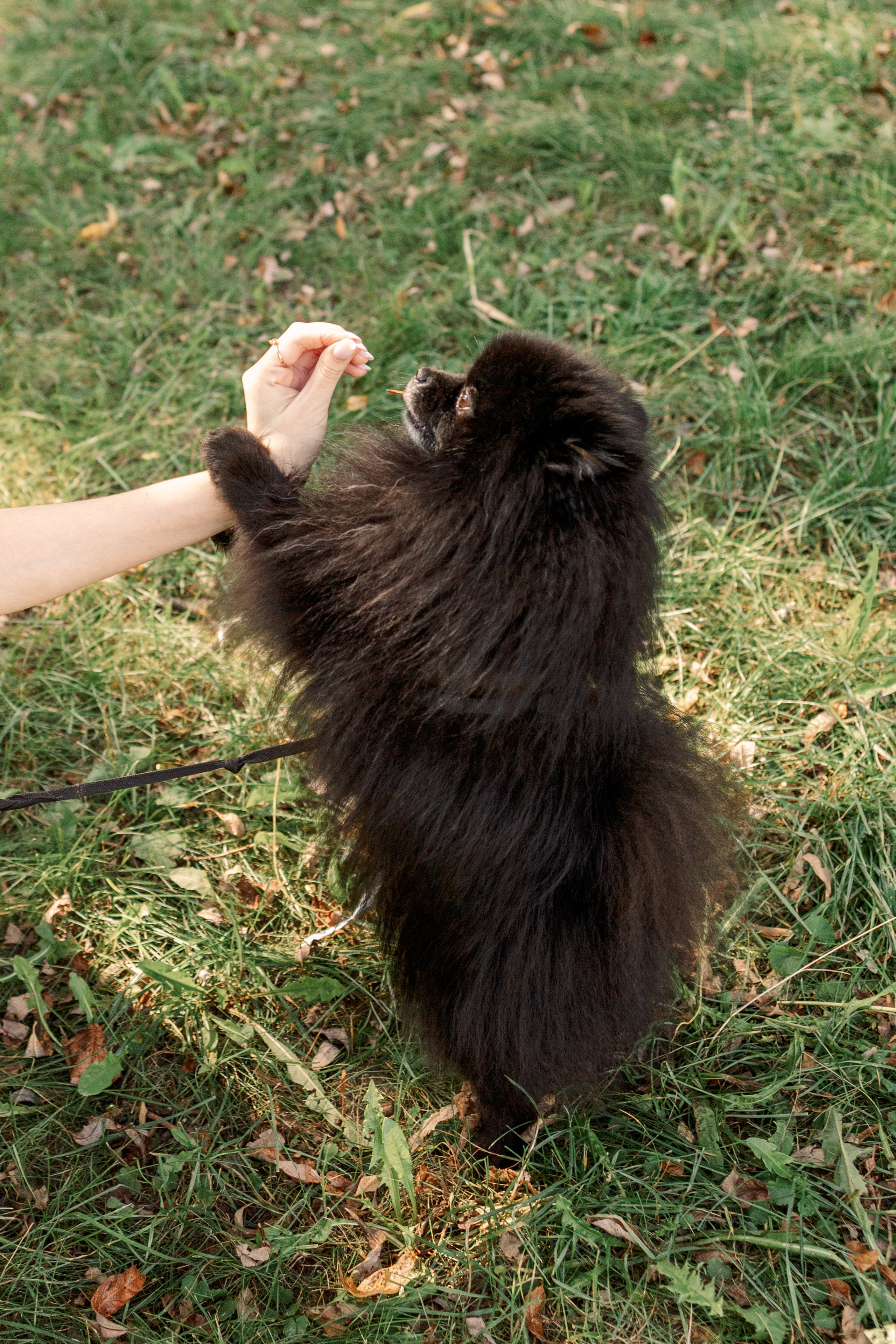 Love Story в парке Радуга. Семейный Фотограф в Москве Евгения Симоненко