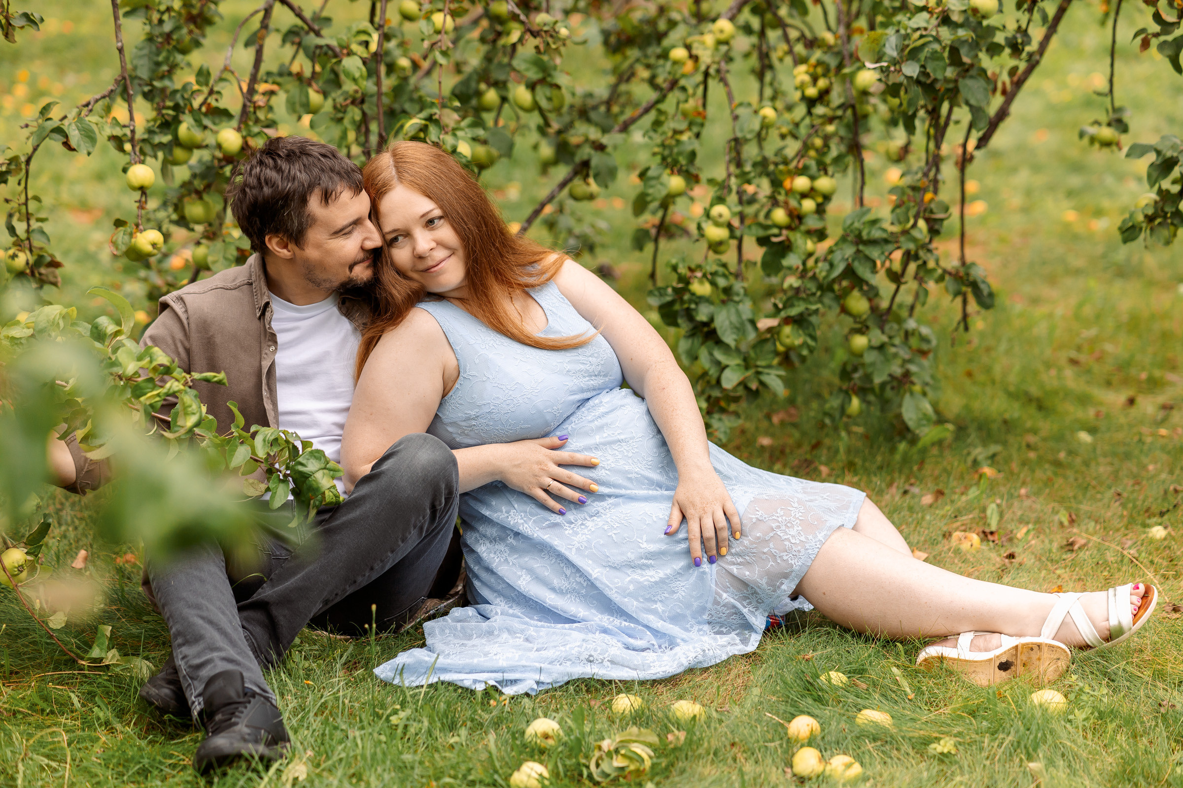 яблоки созрели