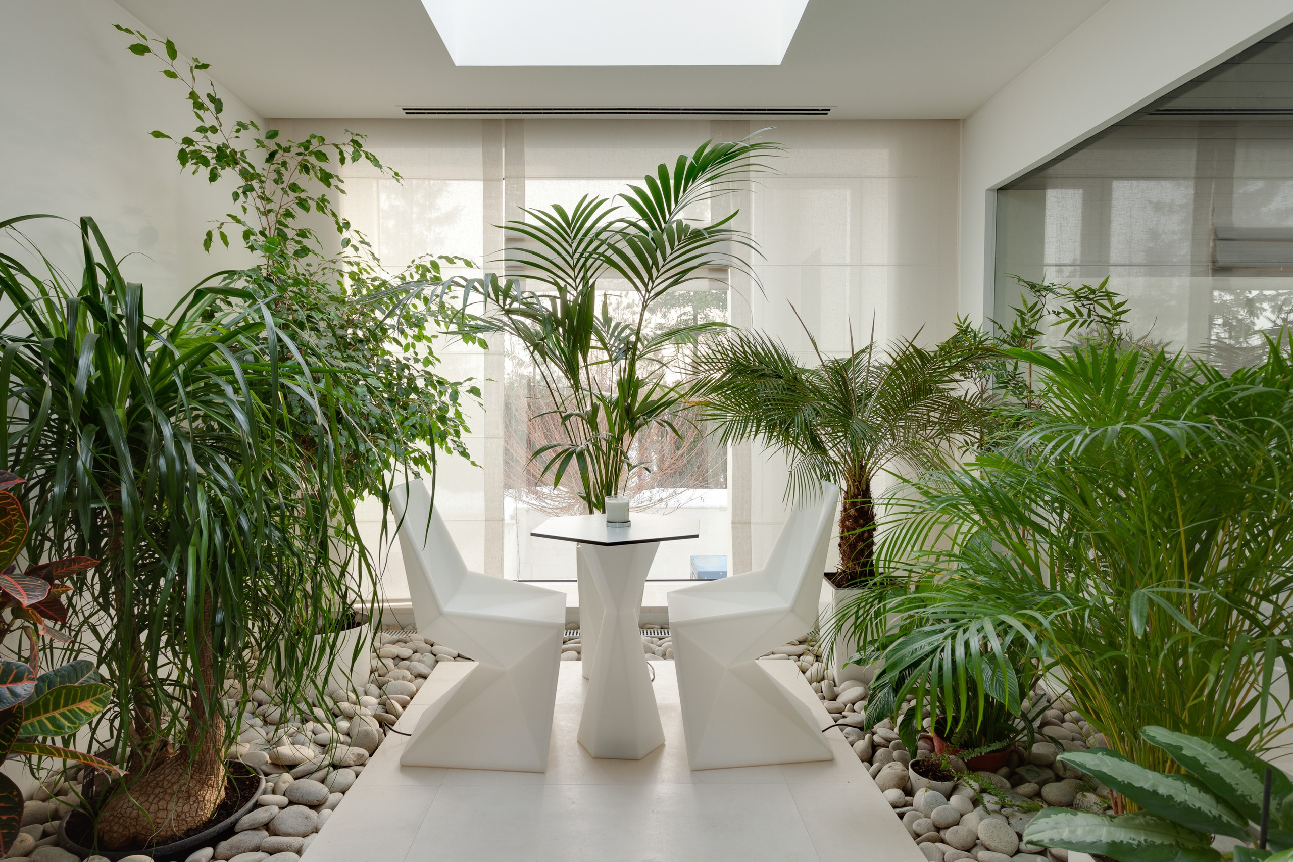 Luxury mansion winter garden interior  - photographer Andrey Dunin