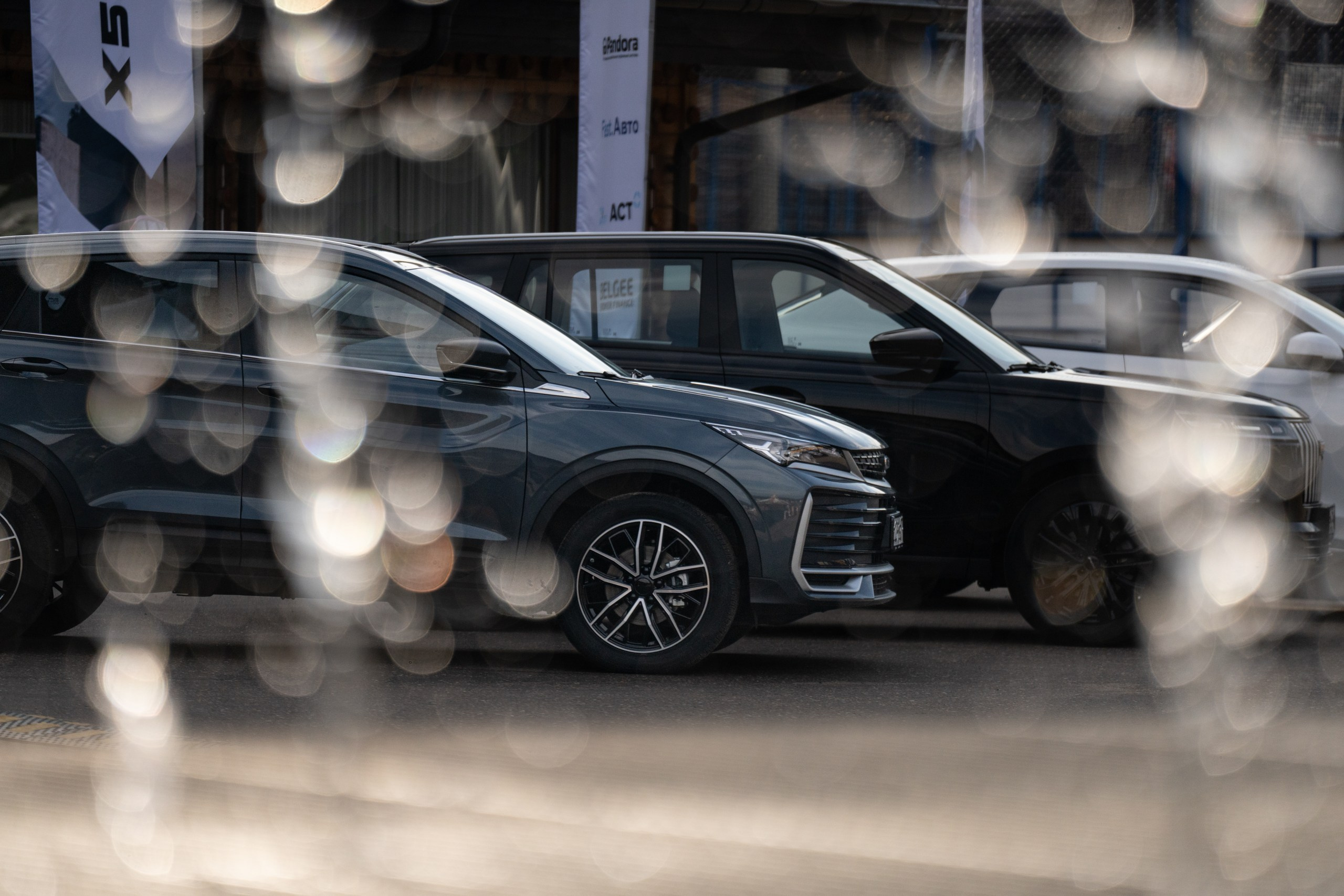BELGEE X50+. Безрукова Юлия Репортажный Фотограф Москва