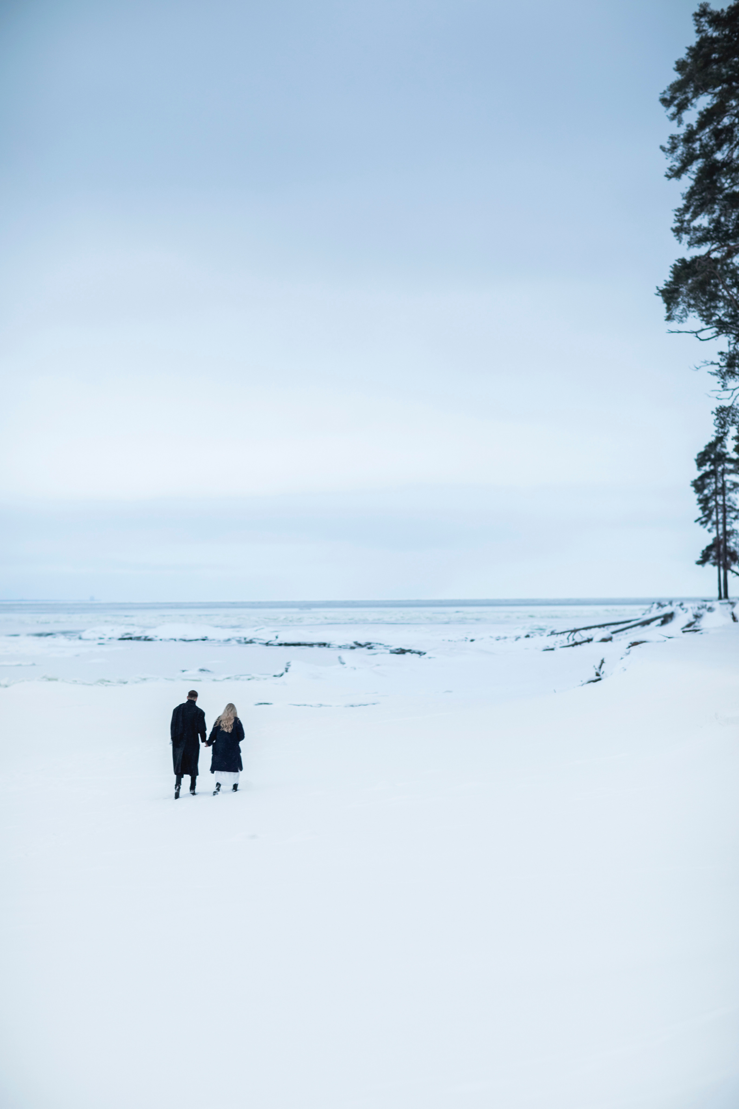 Алина и Игорь. Свадебный и портретный фотограф