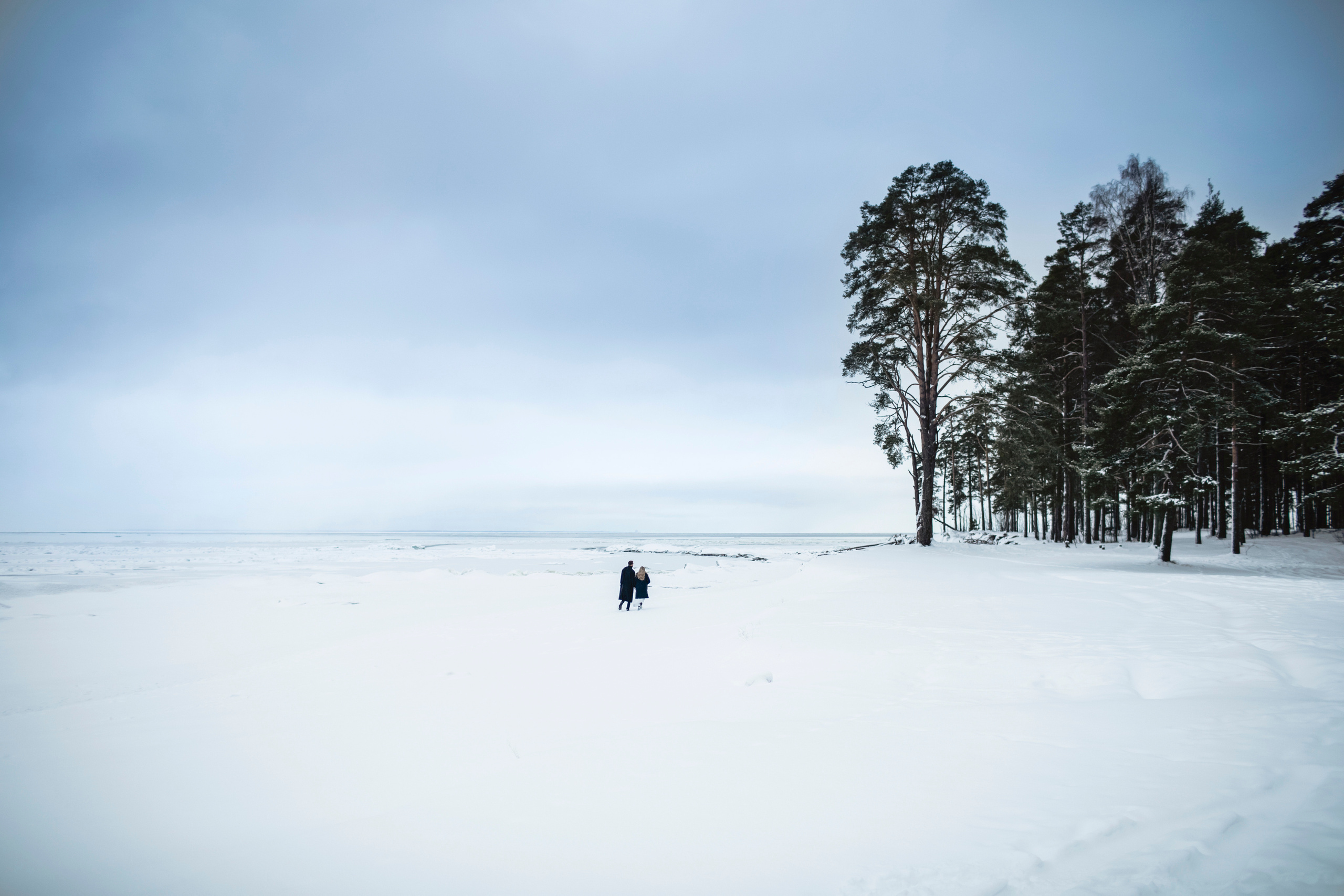 Алина и Игорь. Свадебный и портретный фотограф
