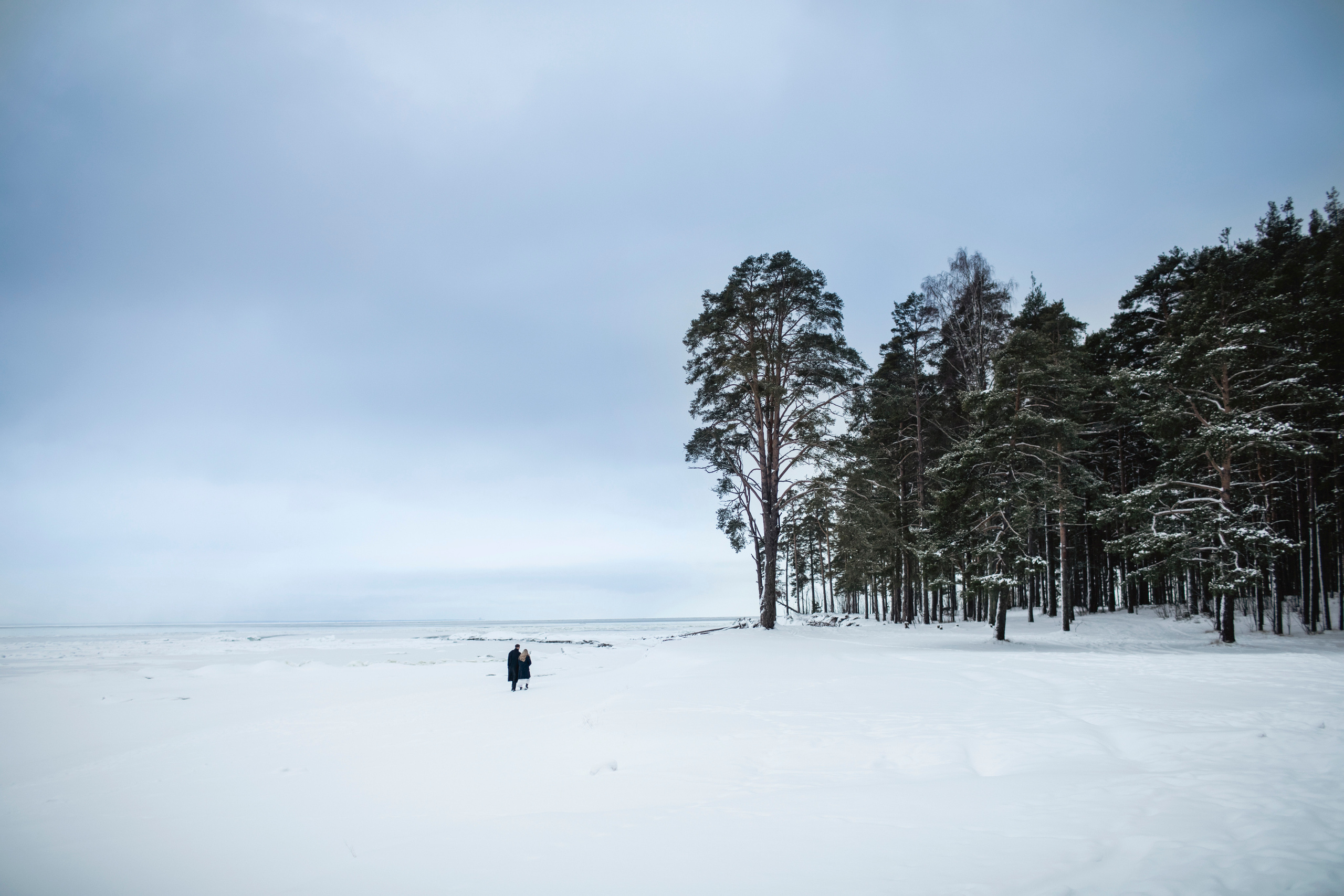 Алина и Игорь. Свадебный и портретный фотограф