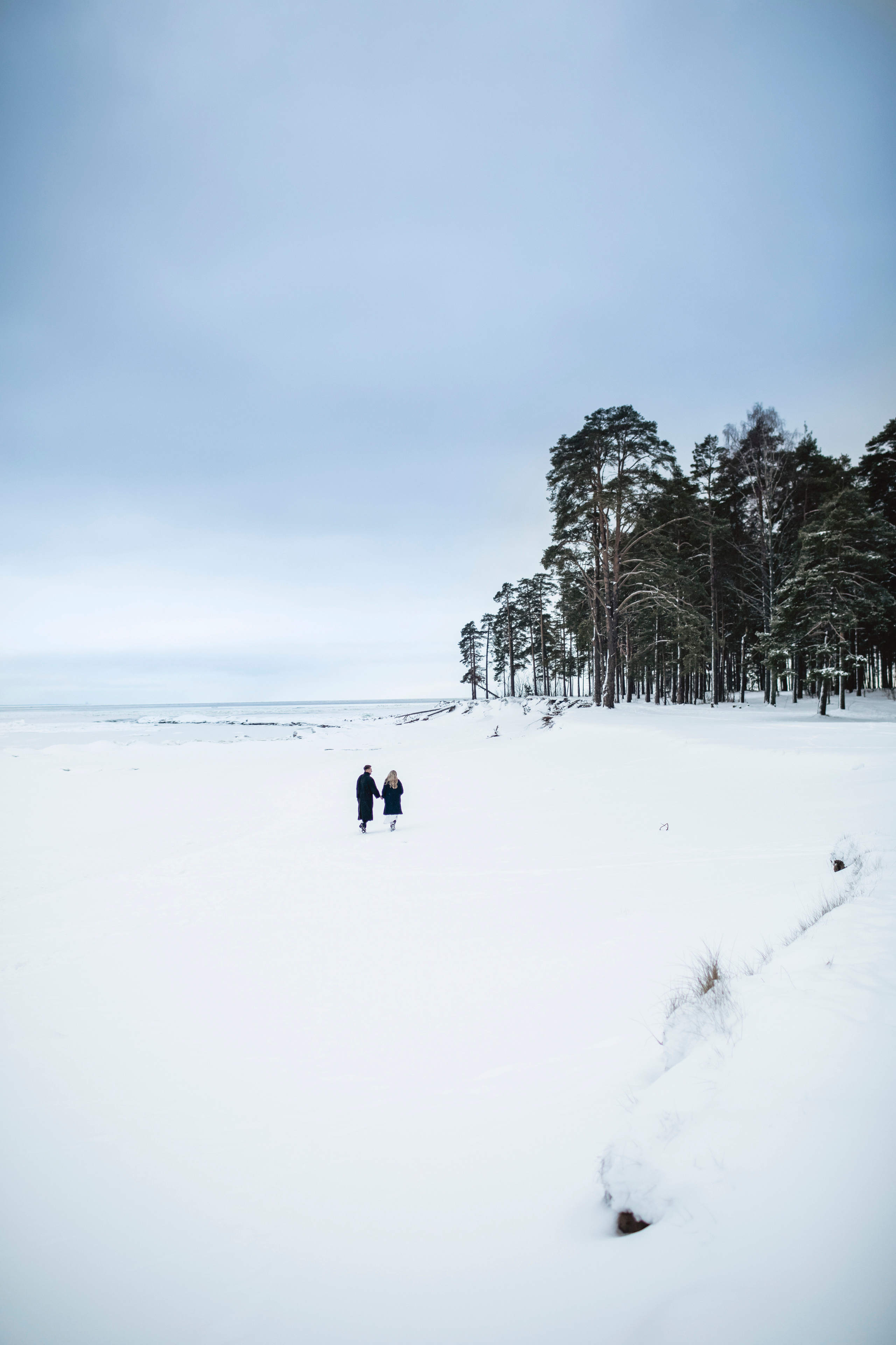 Алина и Игорь. Свадебный и портретный фотограф