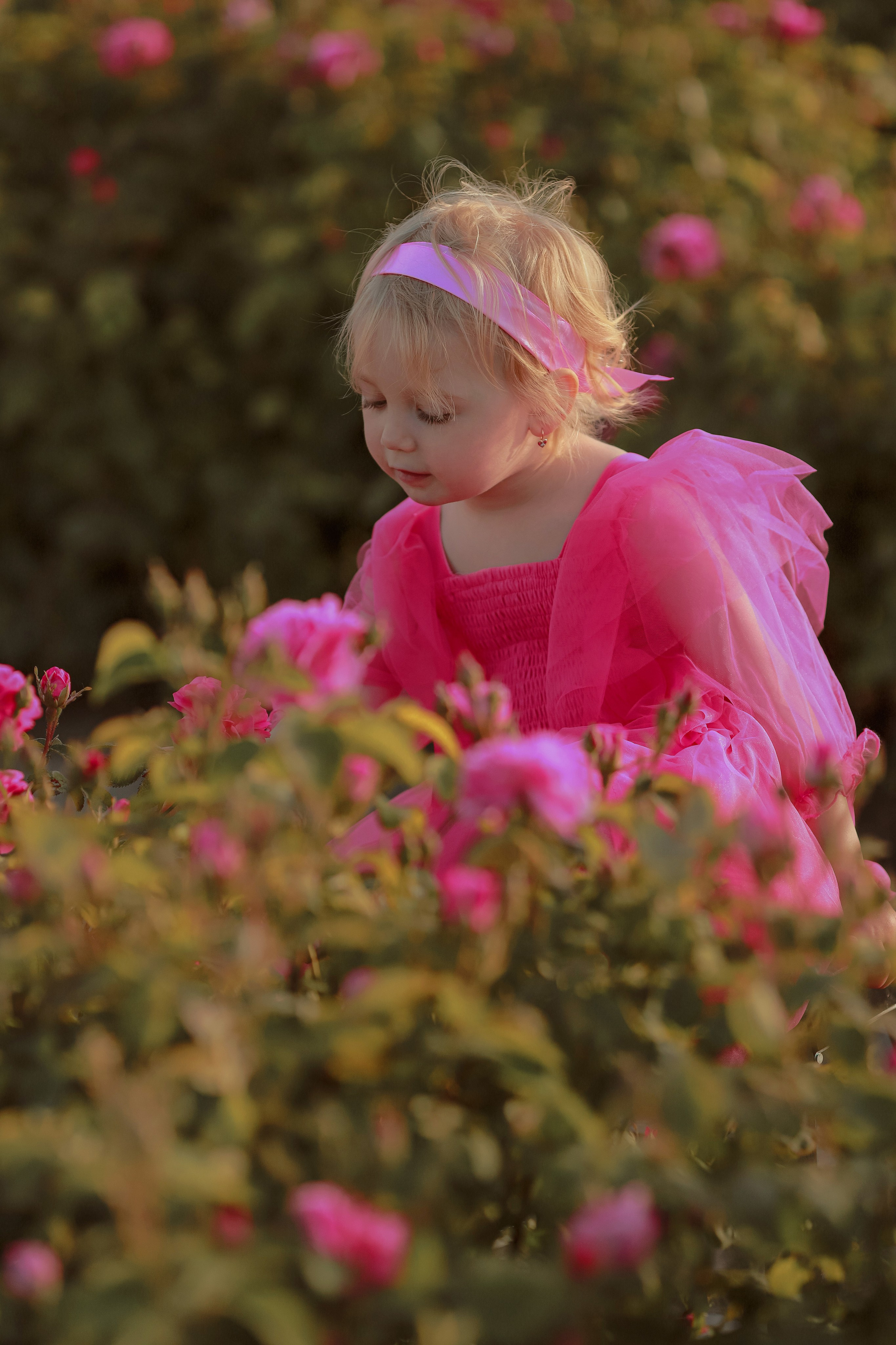 РОЗЫ. Семейный и детский фотограф в Крыму Екатерина Швец