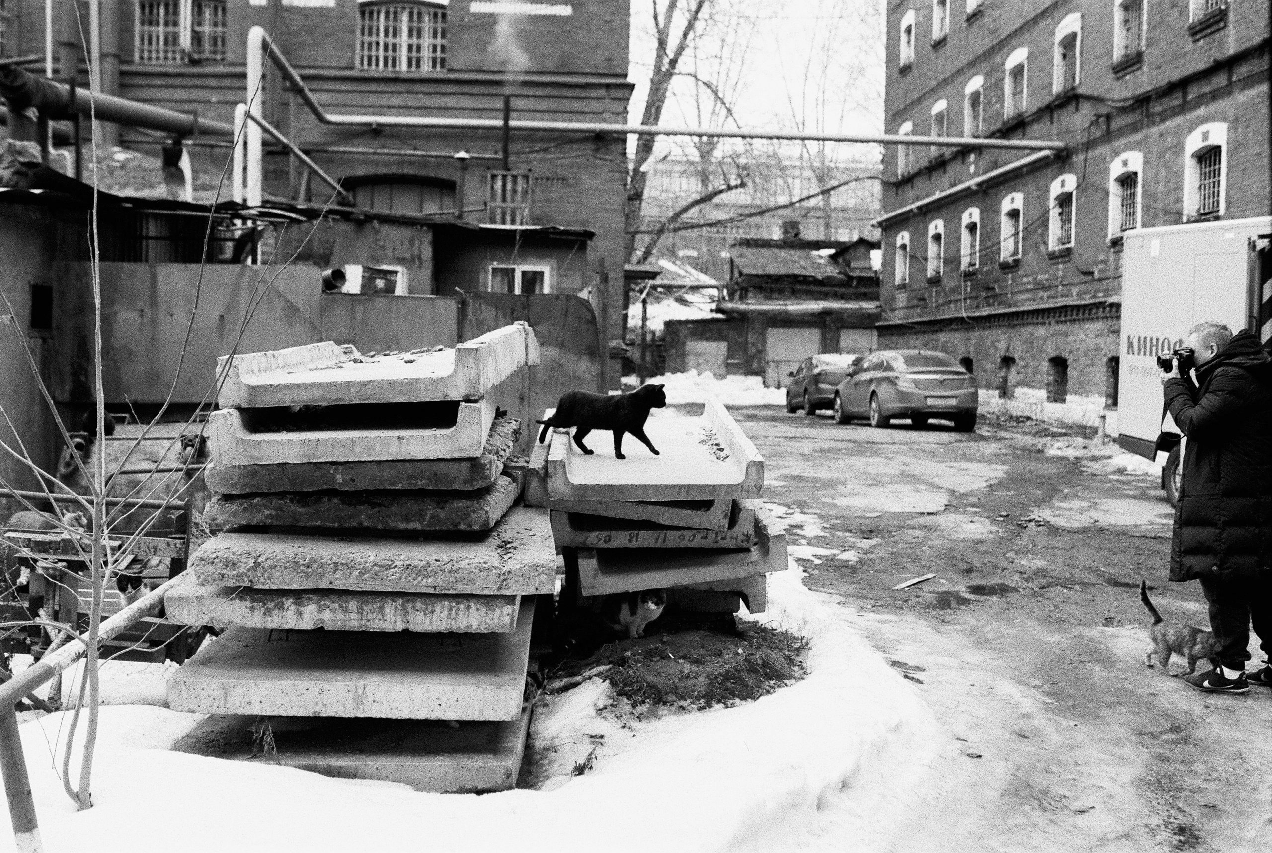 Фотографии черно-белые. Свадебный и семейный пленочный фотограф в Петербурге Истомина Ирина