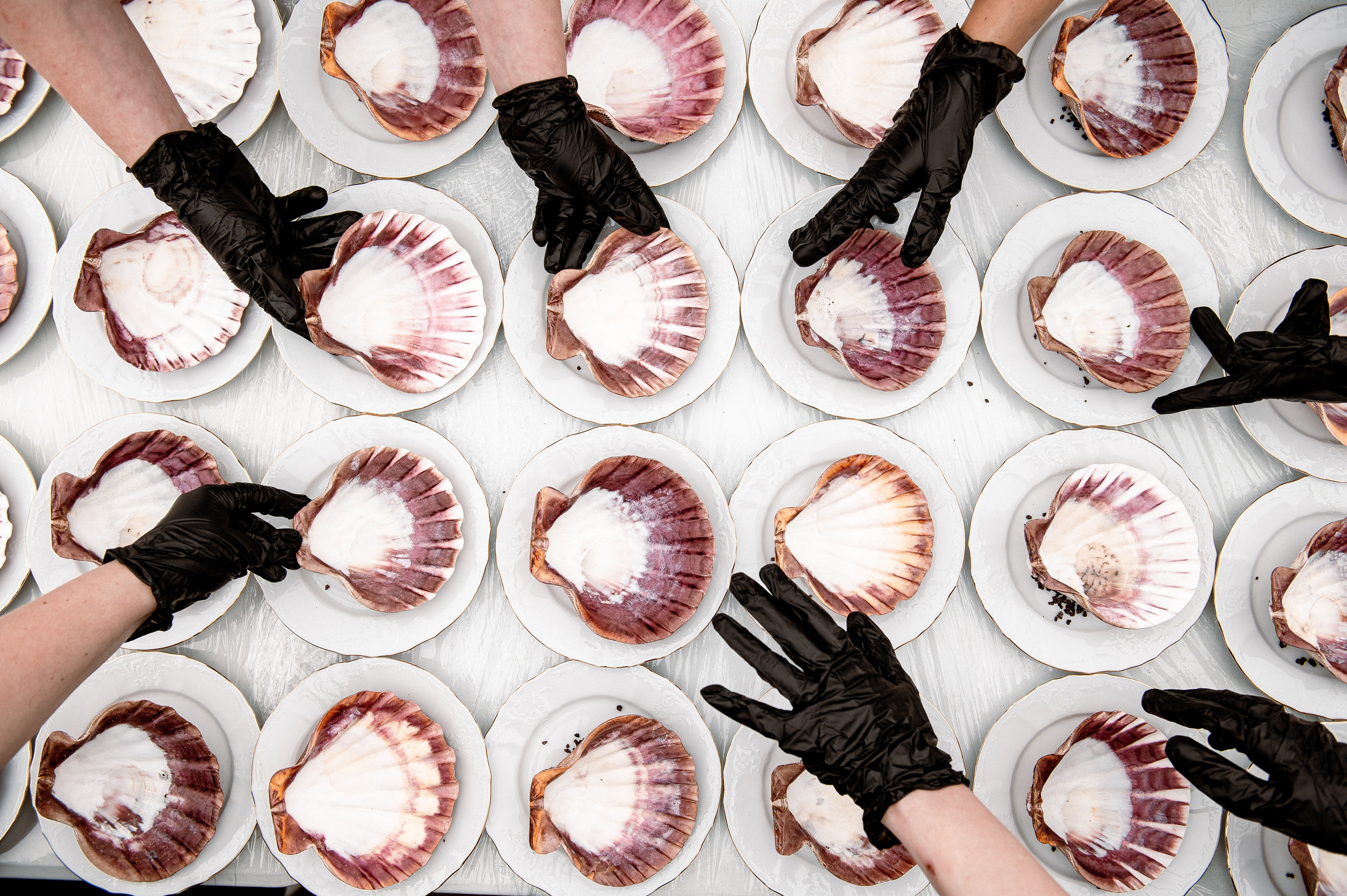 Репортаж мероприятий