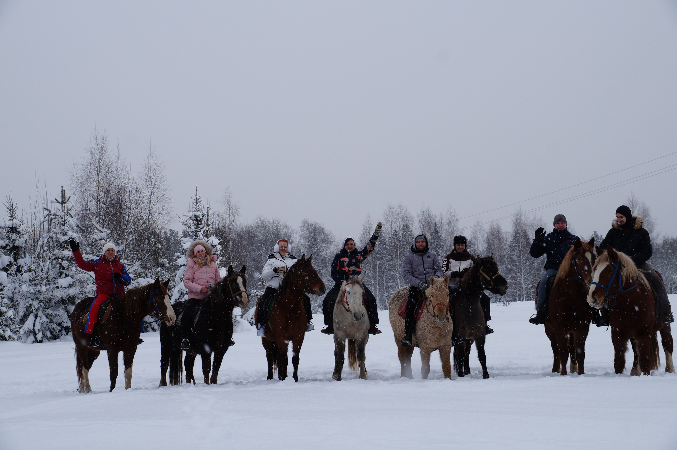 Лошадинг | 11.01.2026. Галерея Фантим