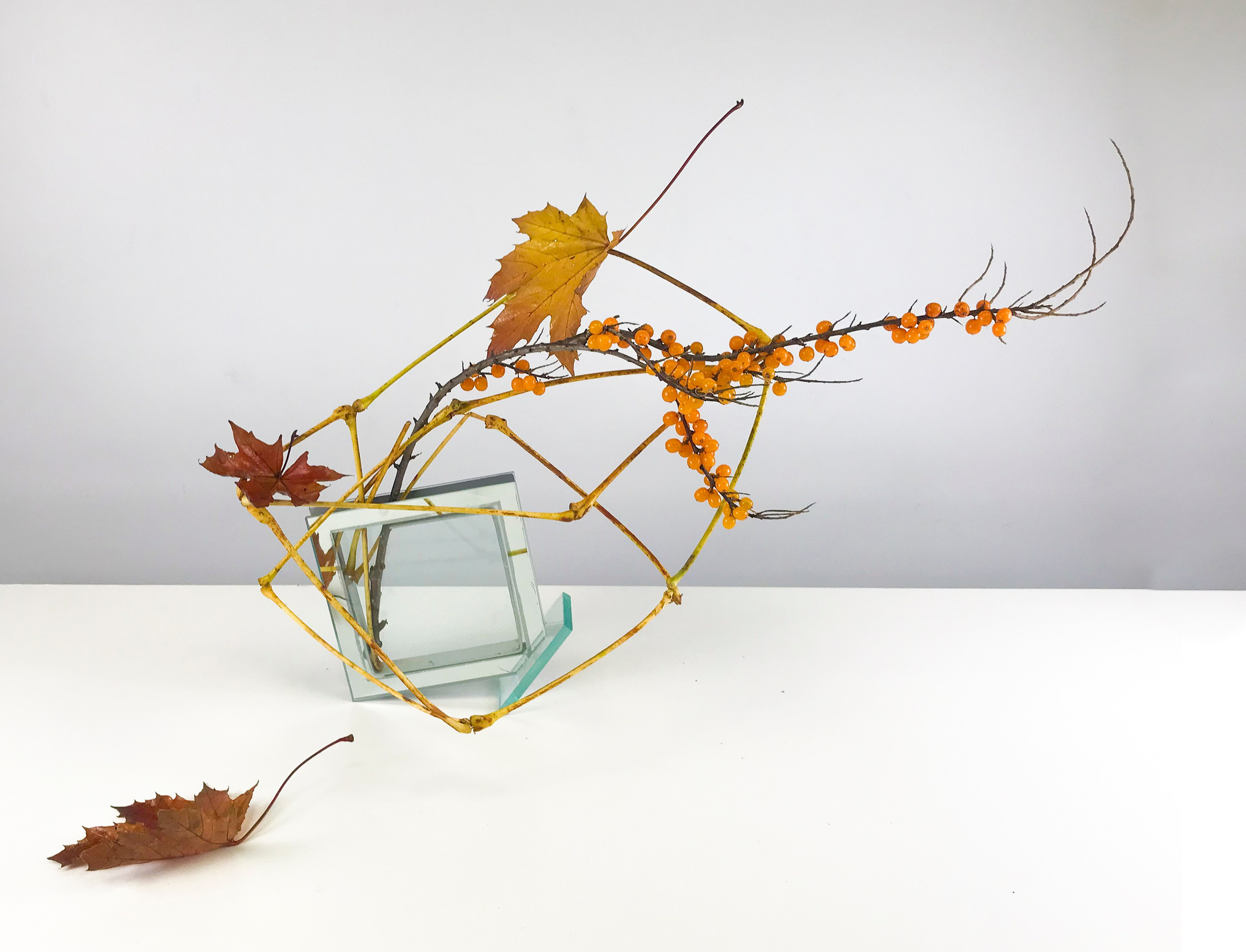 Икэбана Барне. Фотограф Анна Барне