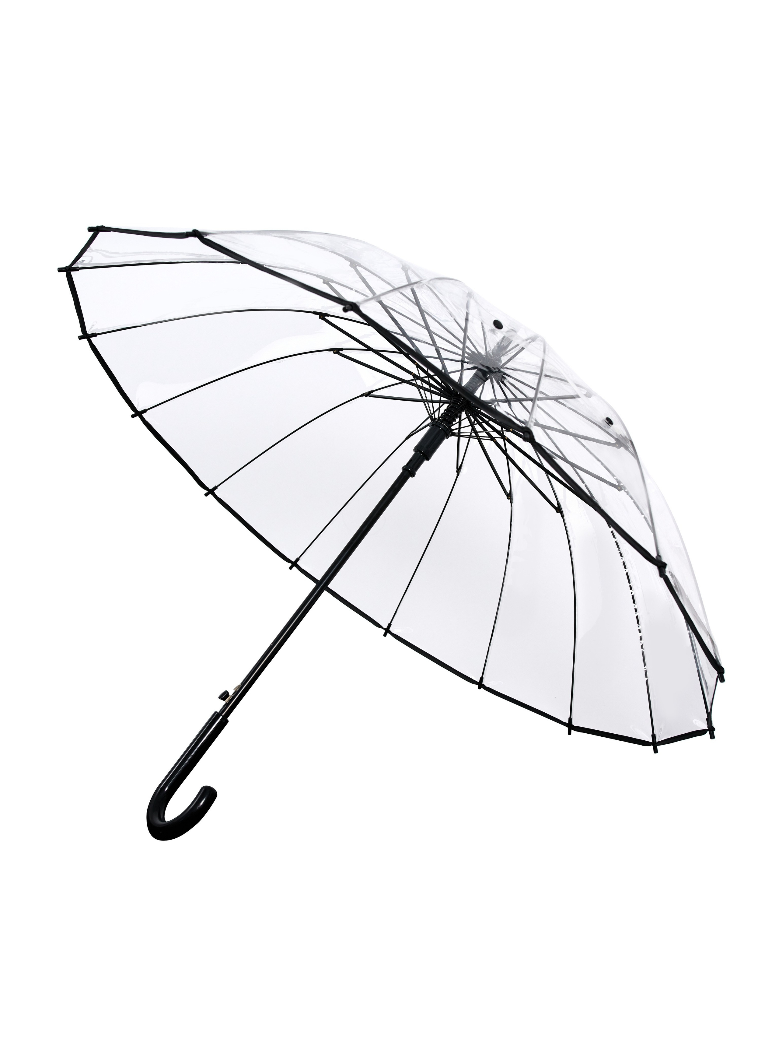 Dolphin. Zubkov Jan Hochzeitsfotograf Deutschland