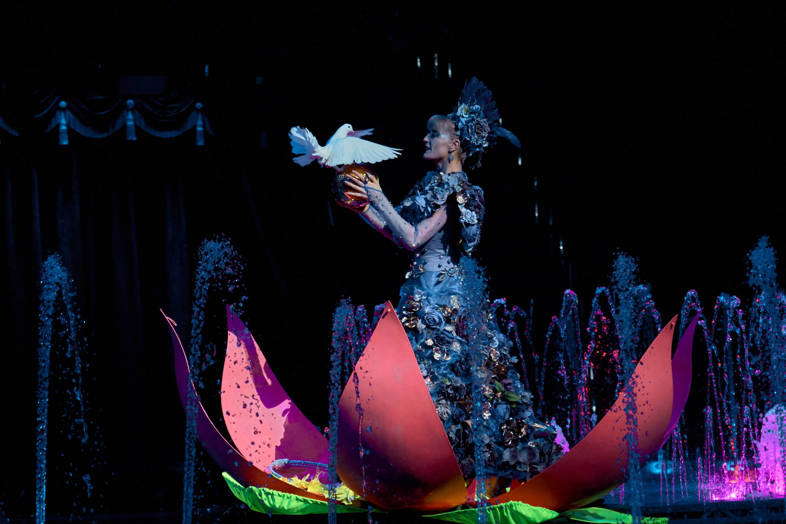 Цирк «На воде». Фотограф