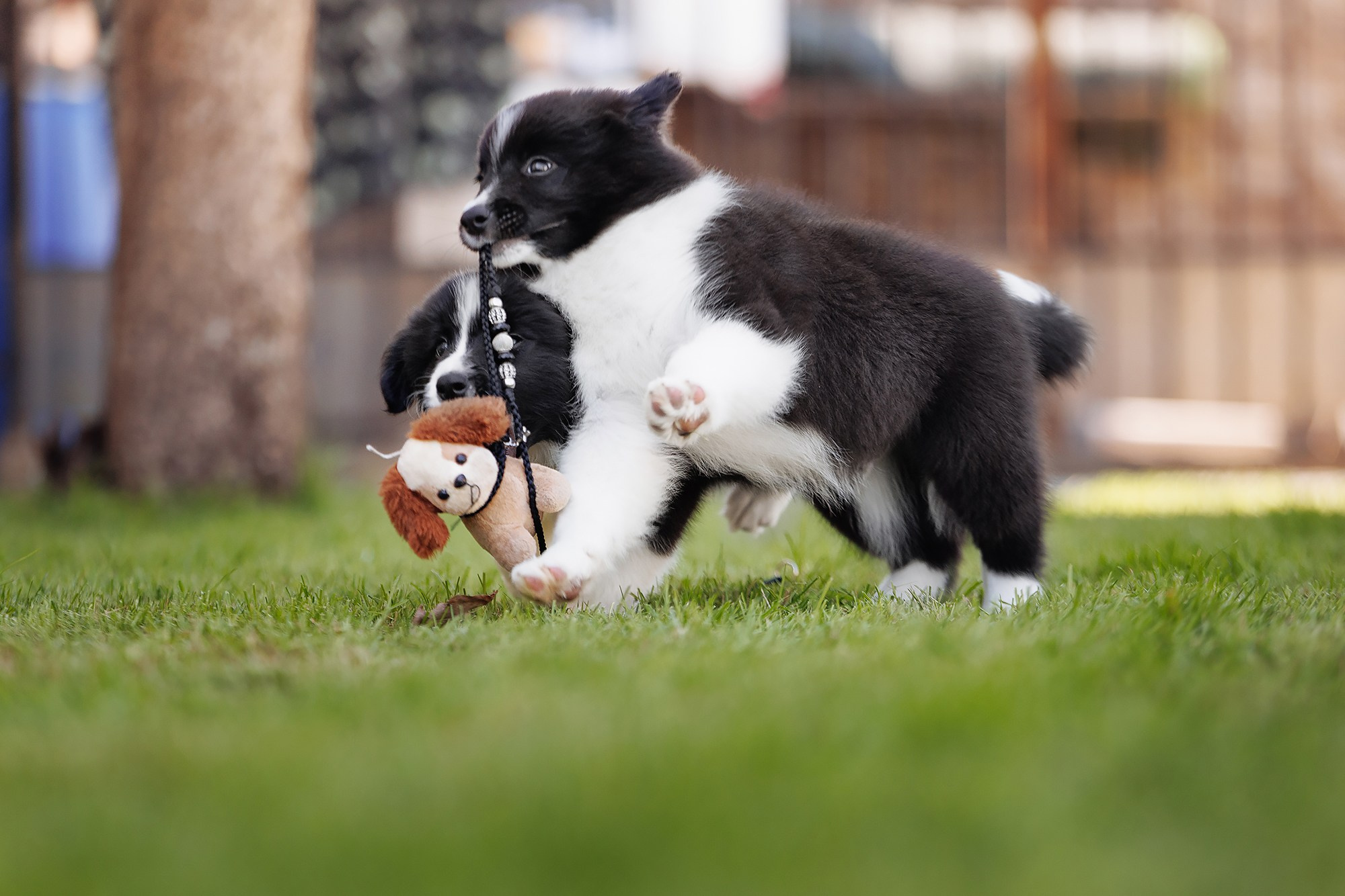 Трава у дома. О нас