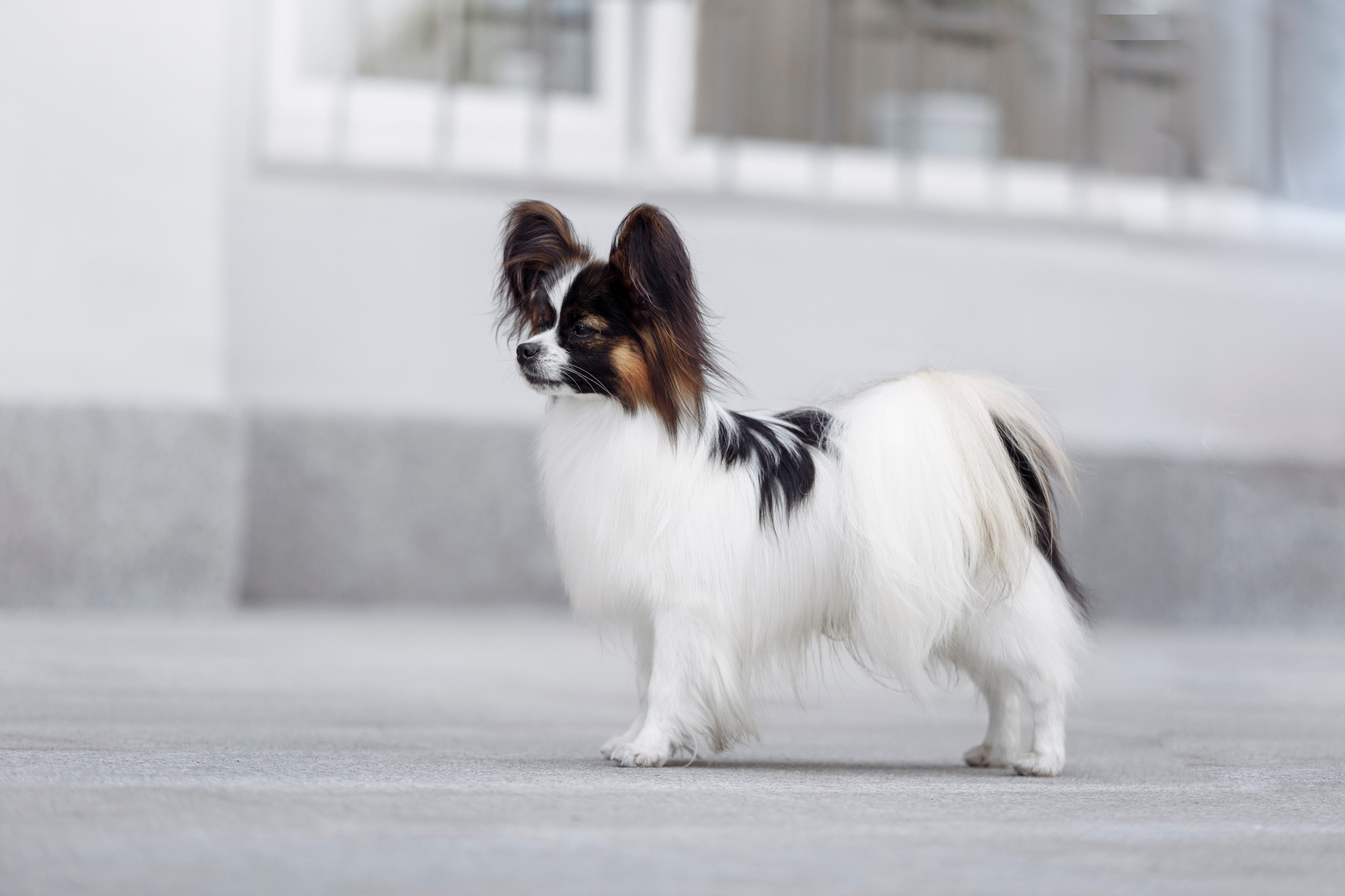 Магнитка 22. О нас