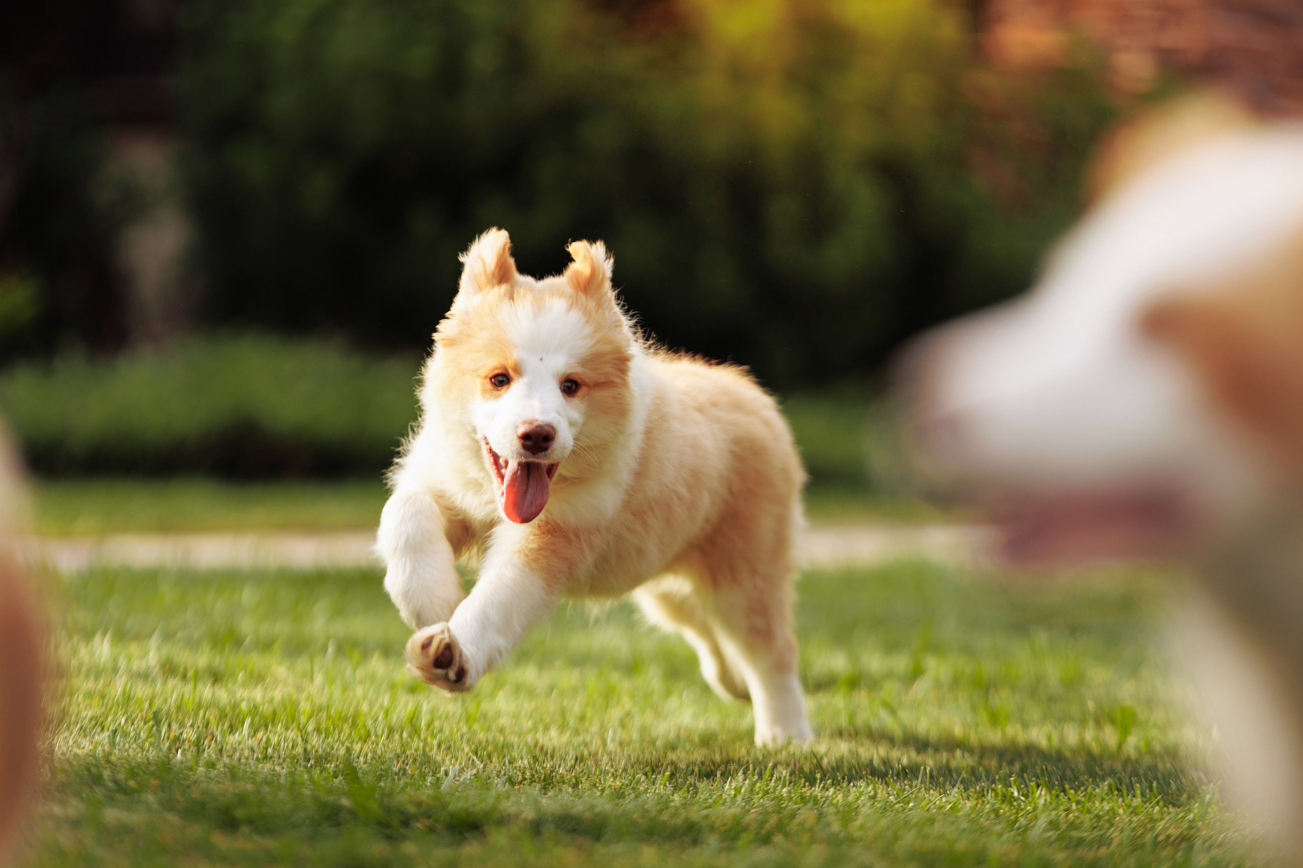 СОлнечные. О нас