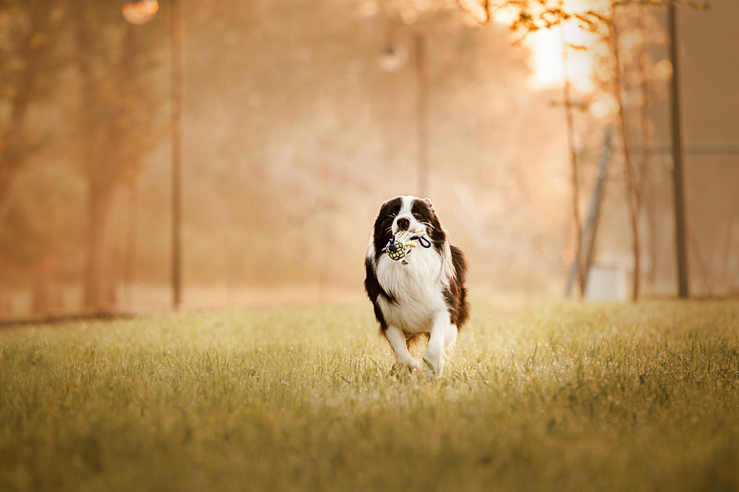 Сочный рассвет, на который решились. О нас