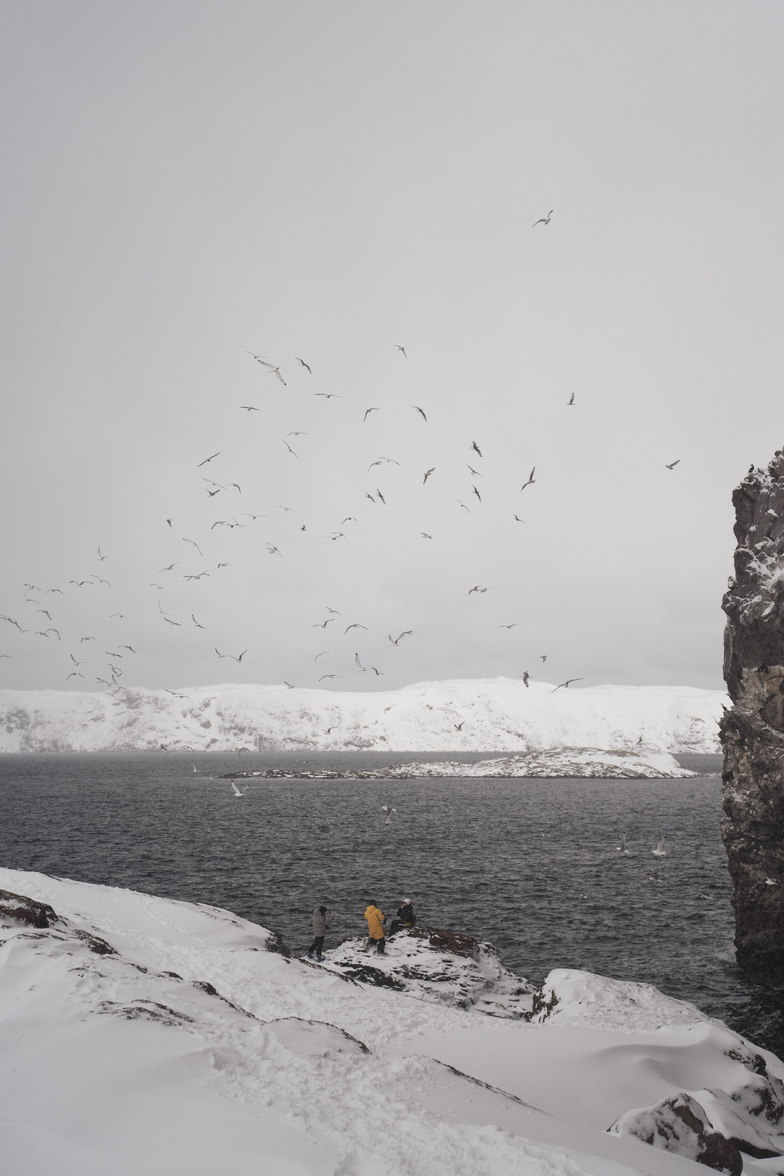 Териберка — репортаж тура Ковчег 51. Видеограф в Санкт-Петербурге Анастасия Коок