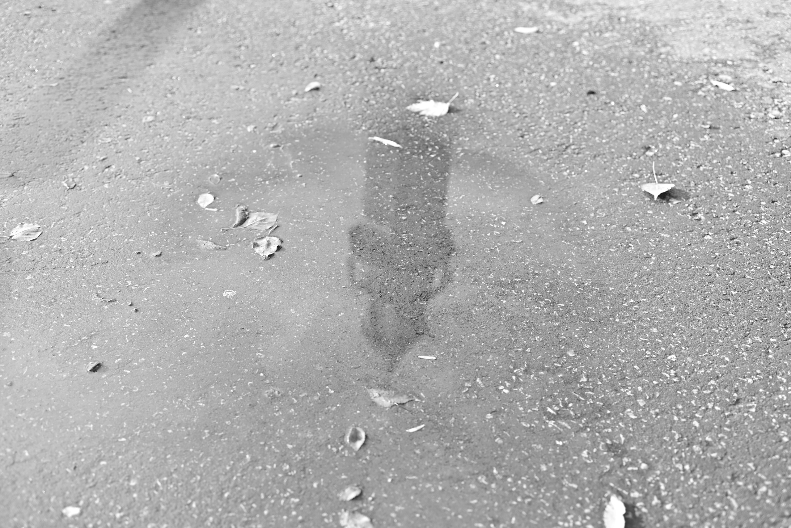 Октябрь над Волгой. Фотосъёмка праздничных мероприятий, портретная съёмка в Самаре, Пётр Бубняев