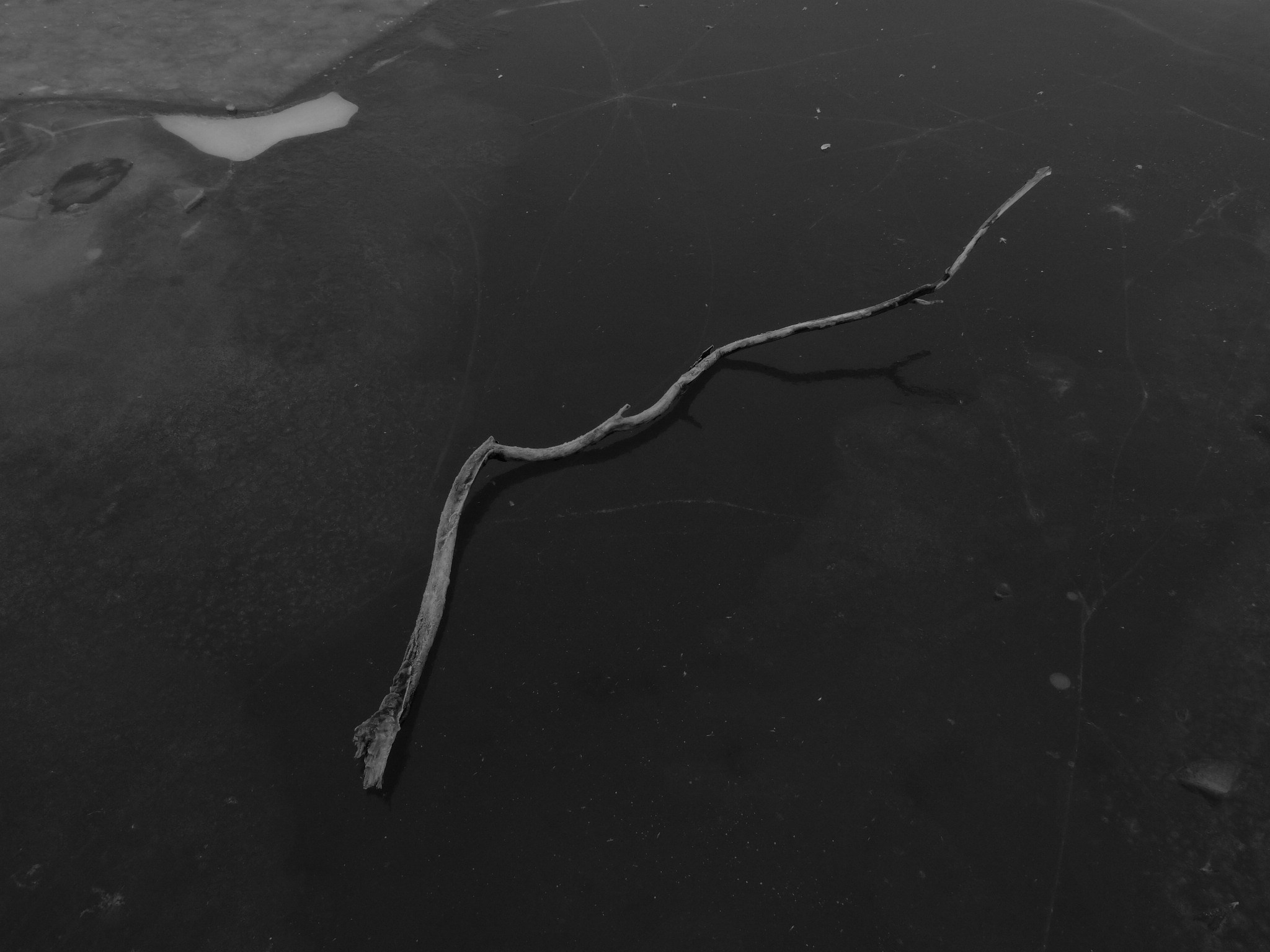 Внутривенные сны (2018-2023)